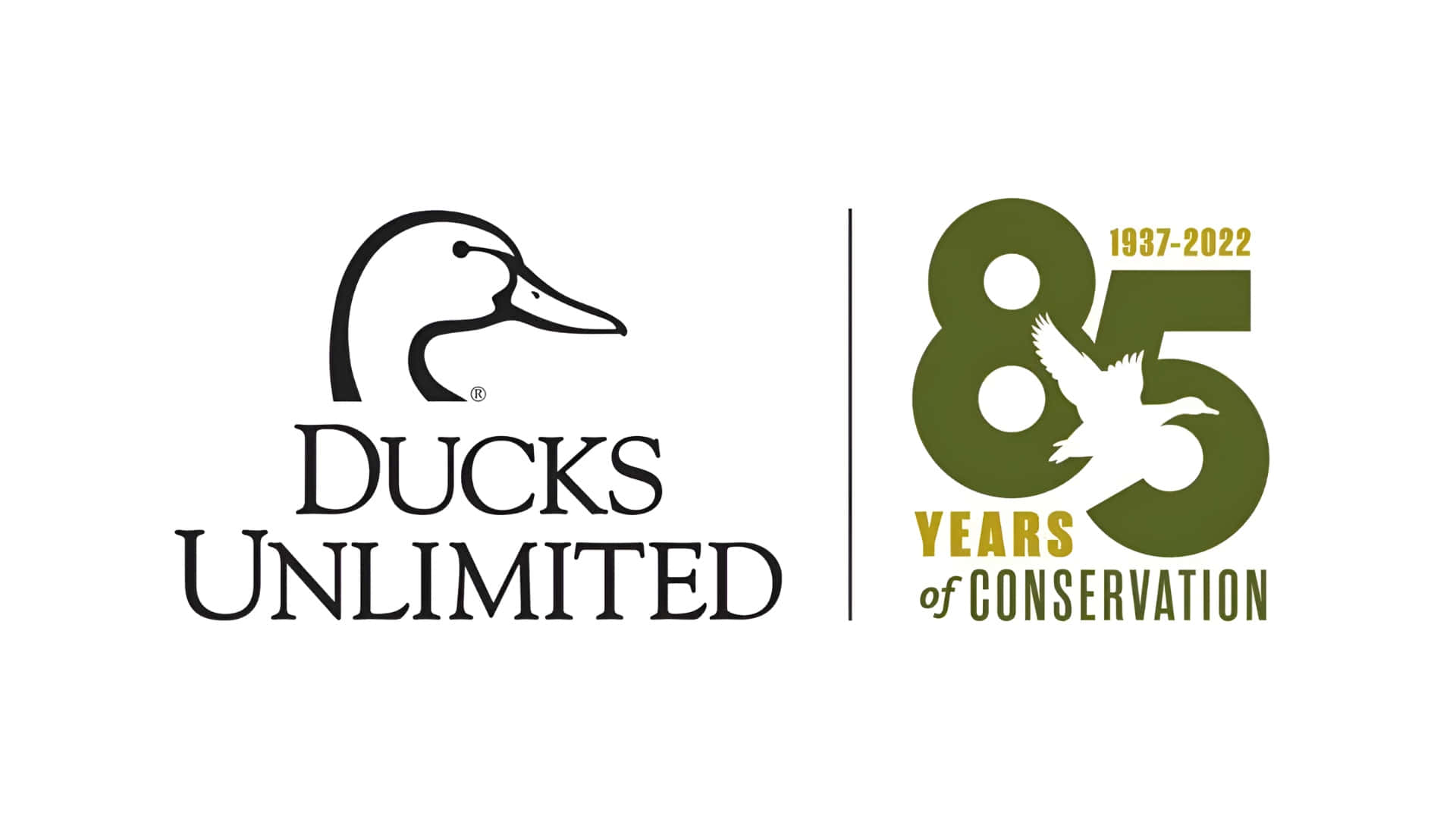  壁紙 — Ducks Unlimited 的黑白標誌旁邊有一個綠色的 85 週年紀念徽章，上面有一隻飛翔的鴨子。