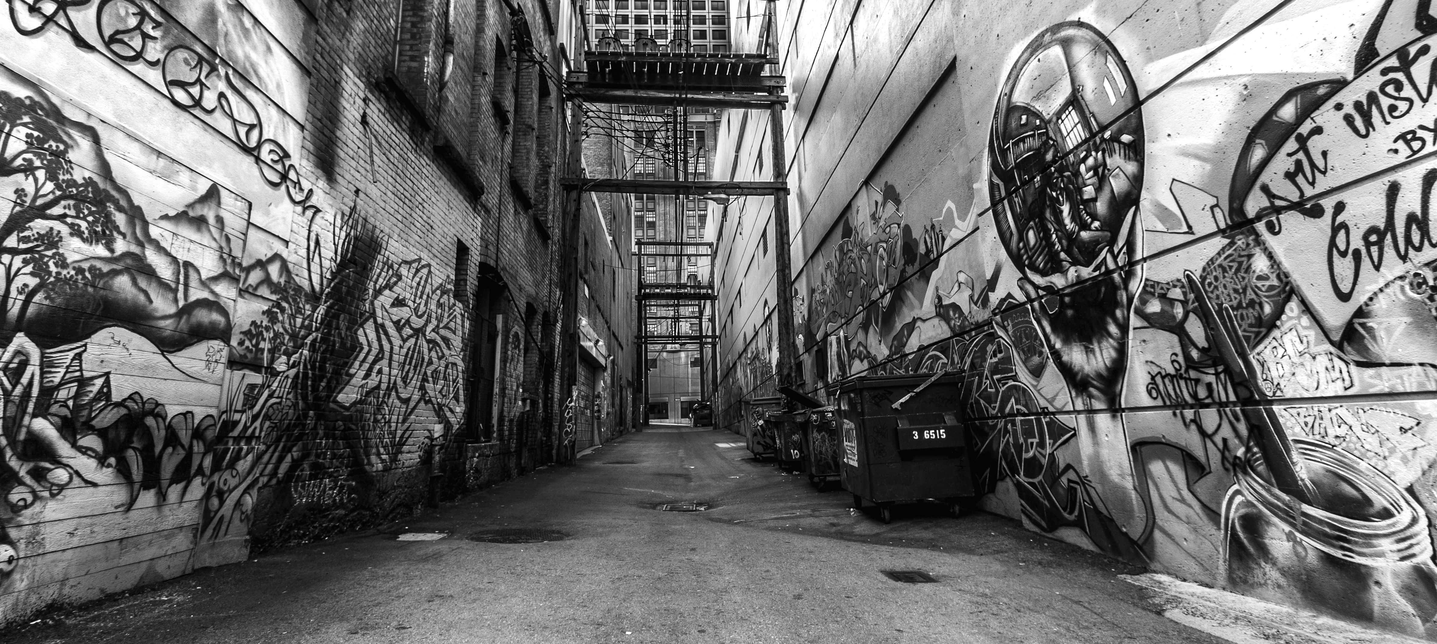 Black And White Graffiti 桌布 壁紙 — 一條黑白城市小巷，磚牆上佈滿複雜的塗鴉壁畫，上方有金屬天橋。