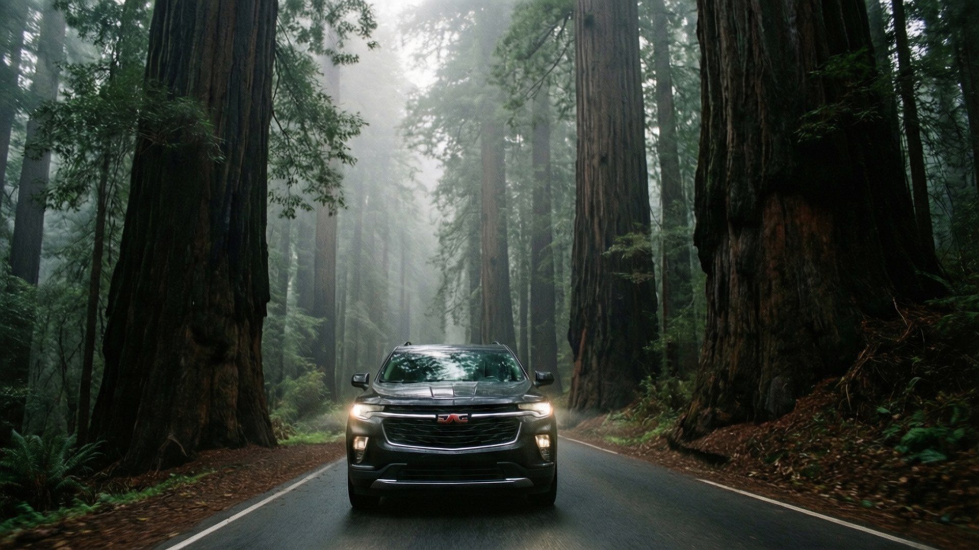 Gmc Acadia 桌布 壁紙 — 一輛黑色SUV沿著霧氣瀰漫的森林道路行駛，兩旁是高聳的紅杉樹，車頭燈劃破迷霧。