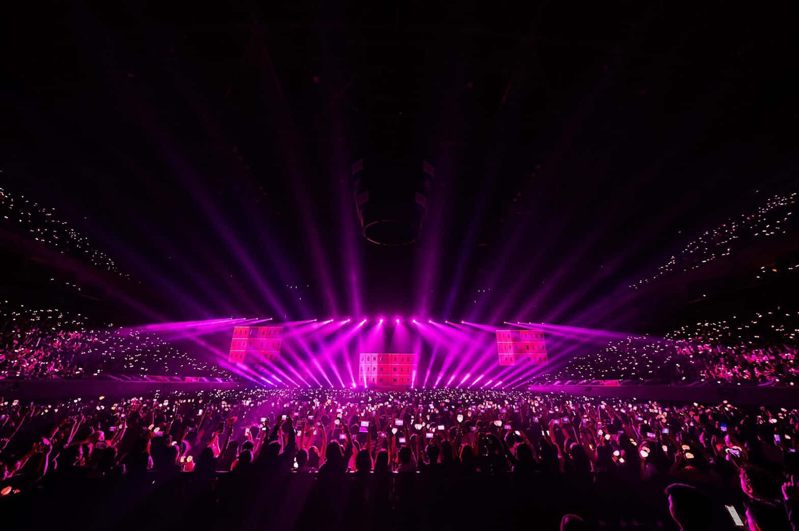 BLACKPINK阿布達比音樂會照片 壁紙 — 一大群演唱會觀眾沐浴在充滿活力的紫色舞台燈光中，粉絲們高舉著發光的手機。