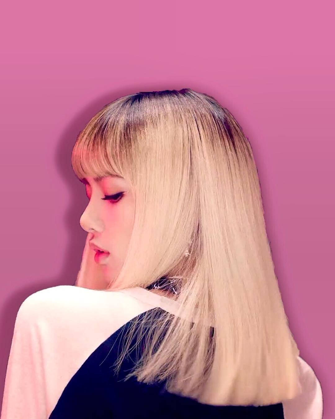 BLACKPINK LISA 展現舞台魅力 壁紙 — 一位年輕女性，擁有鉑金色頭髮和劉海，在純粉色背景上向下凝視。