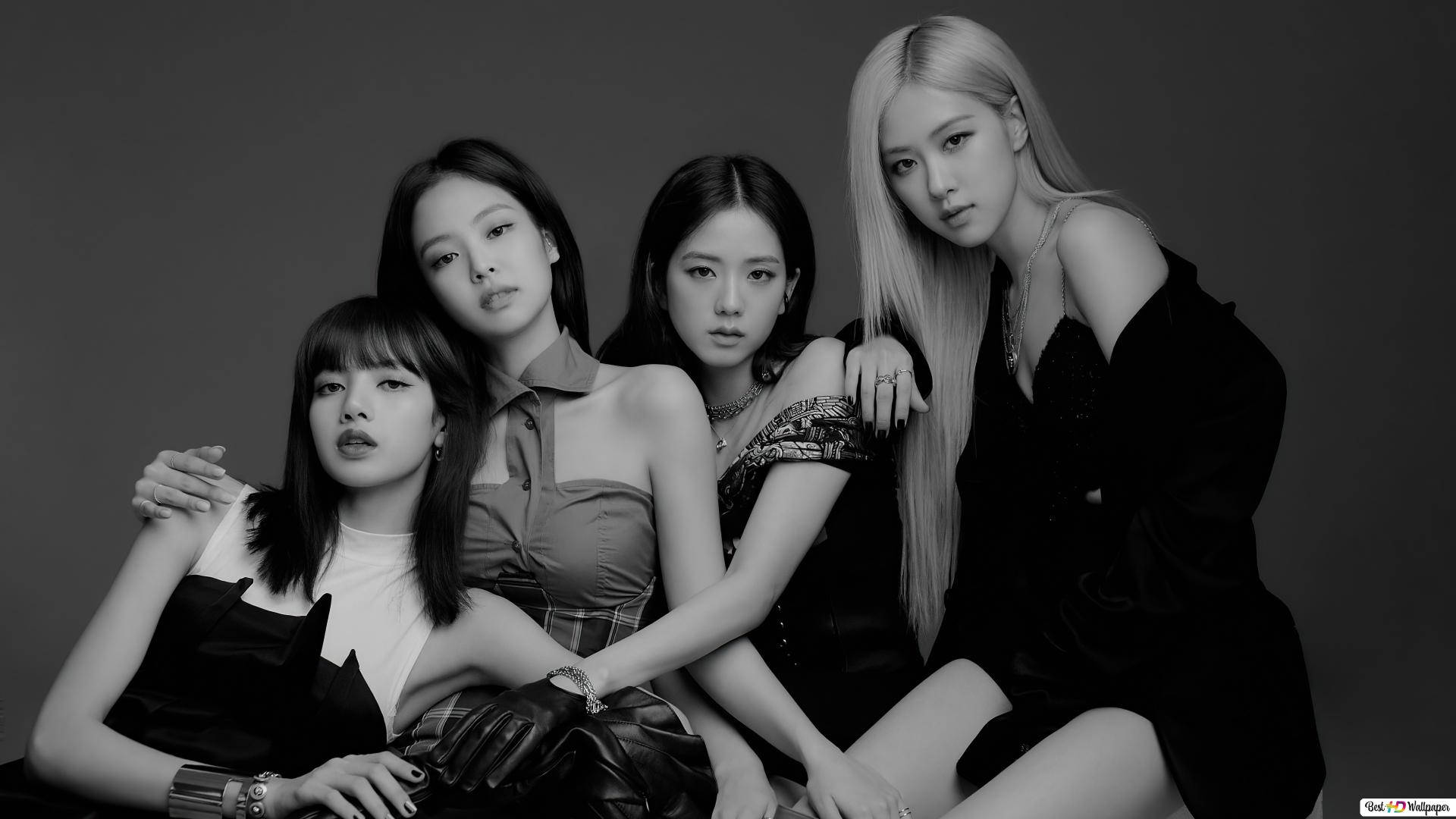 BLACKPINK與金珍妮性感姿勢 壁紙 — 四位時尚女性在單色工作室肖像中自信地擺姿勢，帶有戲劇性的燈光和別緻的服裝。