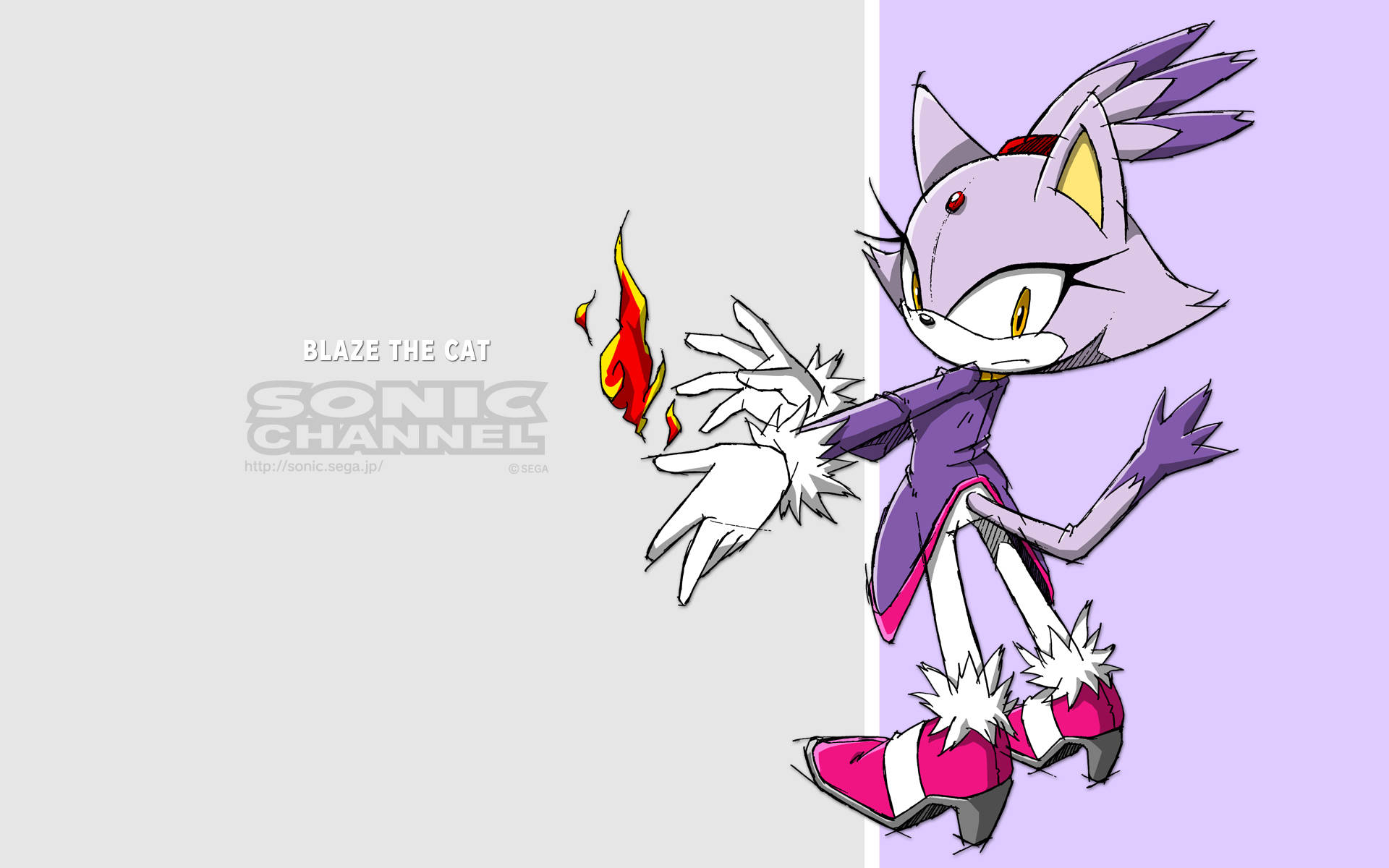 Blaze The Cat 灰紫主題 壁紙 — Blaze the Cat，一隻擁有火焰力量的紫色貓咪，動態地站在灰色和薰衣草色分割的背景前。