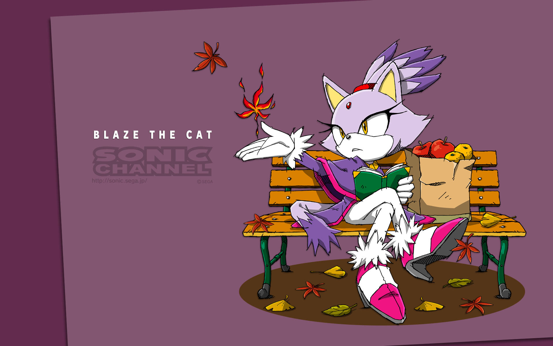 Blaze The Cat 音速刺猬 壁紙 — Blaze the Cat 坐在長椅上閱讀一本書，秋葉在她周圍旋轉，營造出舒適的秋日場景。