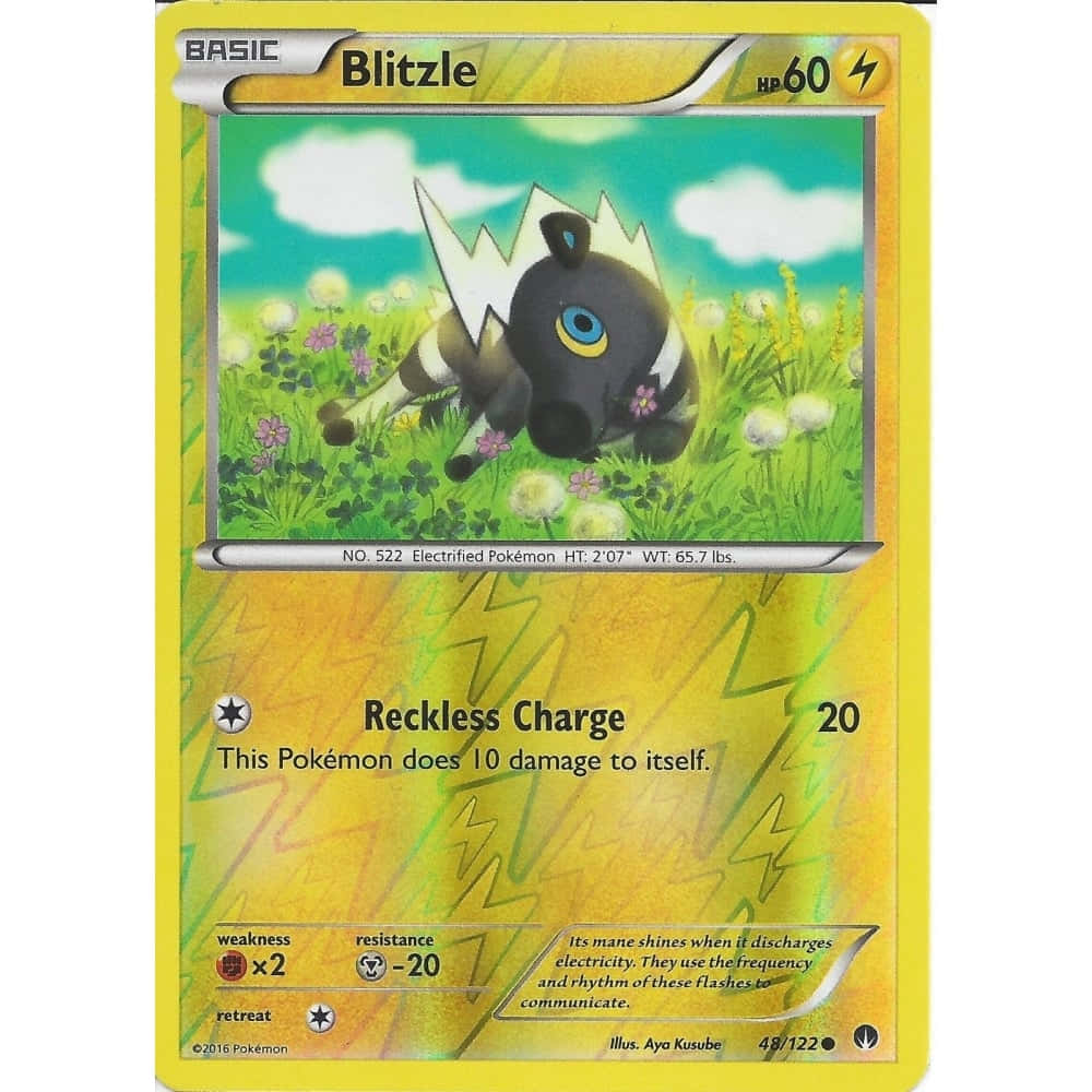 Blitzle寶可夢集換式卡牌 壁紙 — 一隻黑色電屬性寶可夢，有白色鬃毛和藍色眼睛，坐在晴朗天空下開滿花朵的草地上。