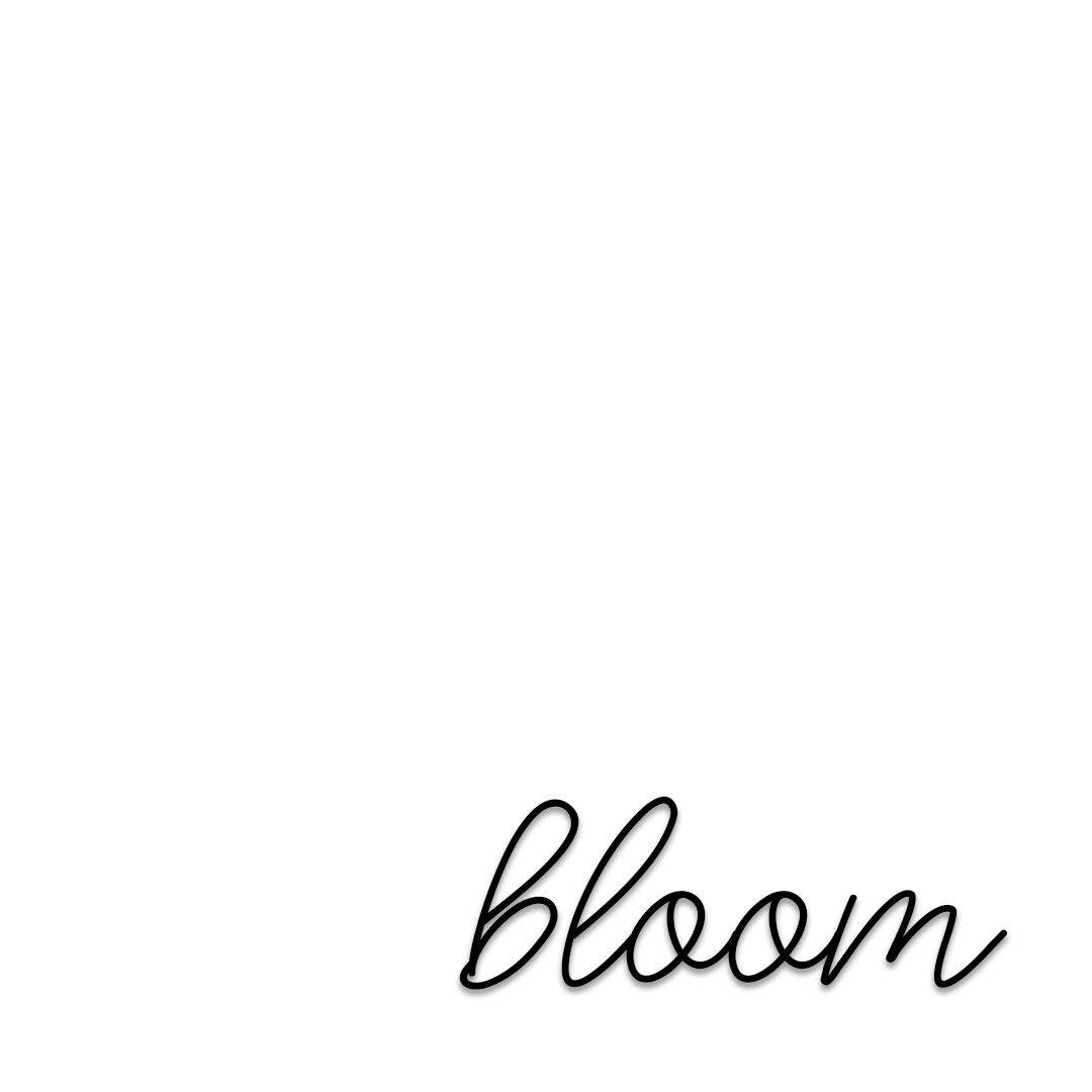 「Bloom」草書字體純白背景 壁紙 — 「bloom」一詞以優雅的黑色草書字體居中於潔淨的白色背景上。