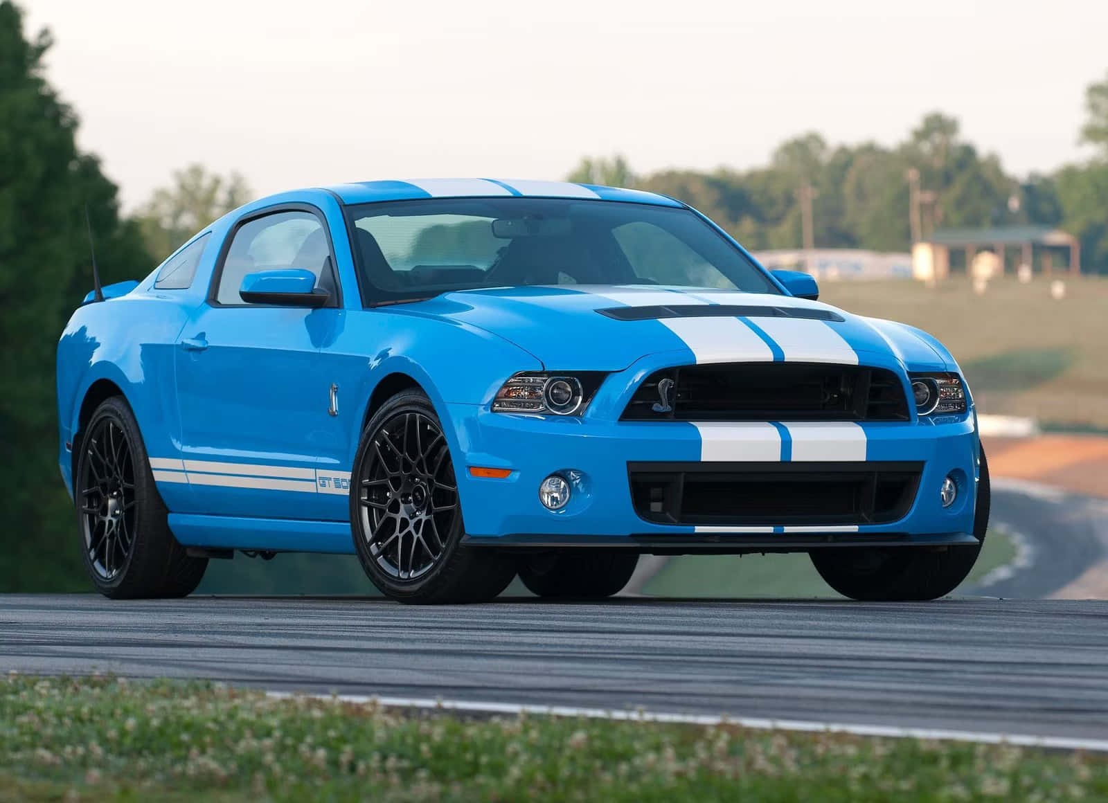  壁紙 — 一輛帶有白色賽車條紋的鮮藍色福特野馬Shelby GT500在綠樹和草地環繞的賽道上飛馳。