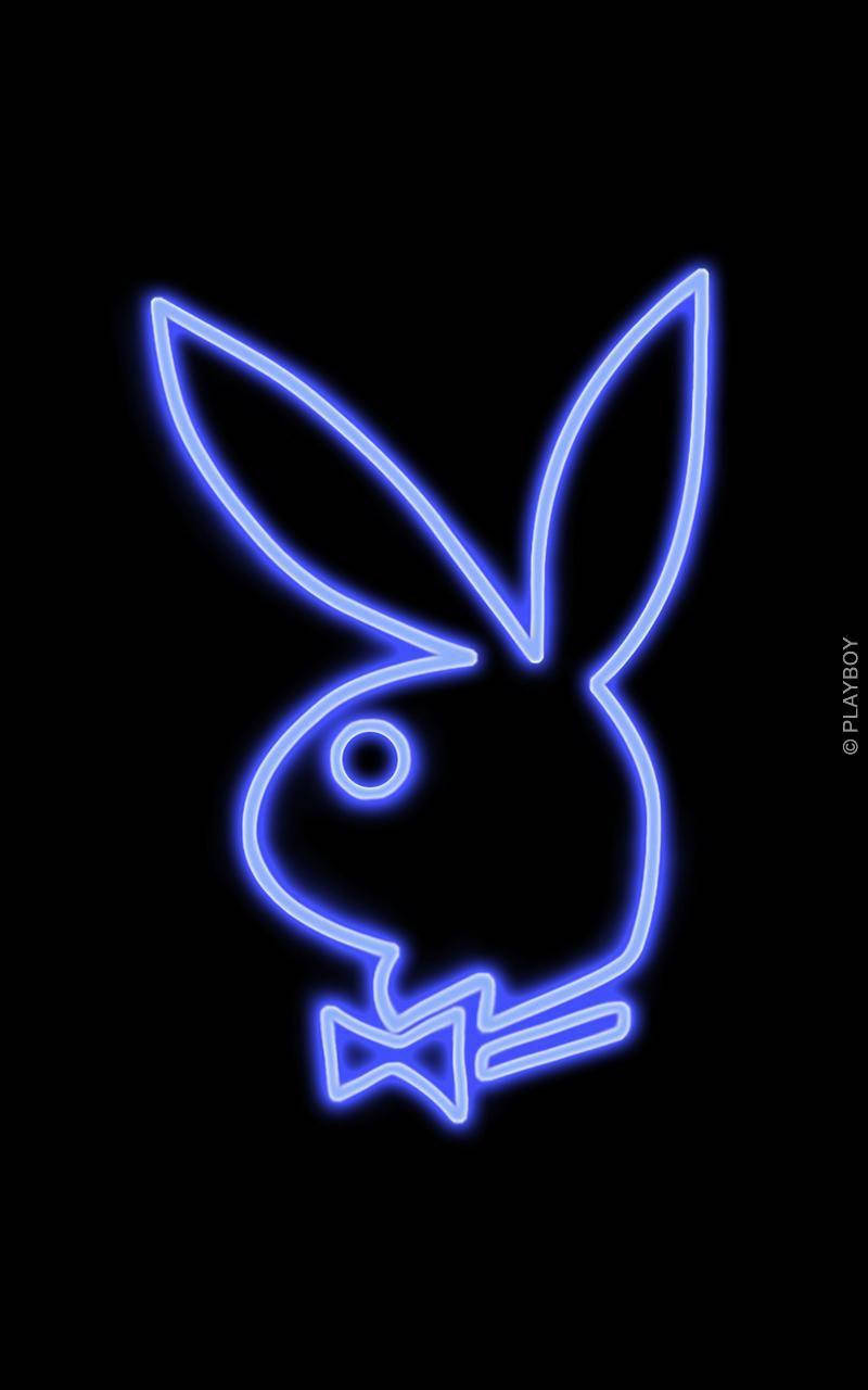 黑色背景上的藍色霓虹燈Playboy兔子標誌