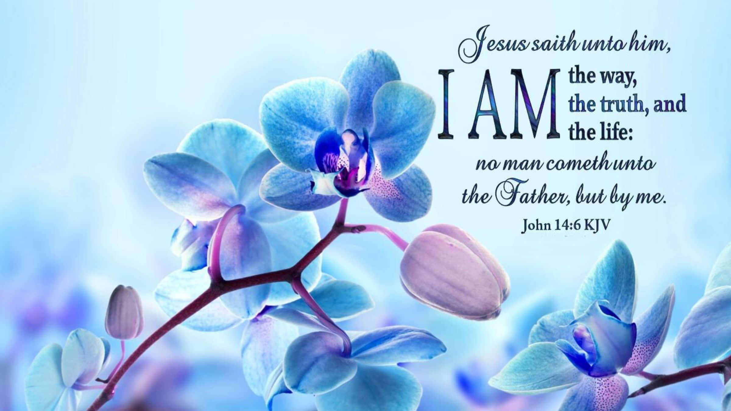 Bible Verse Desktop 桌布 壁紙 — 藍色蘭花在朦朧的天空下柔和綻放，約翰福音14章6節的經文以優雅字體閃耀。