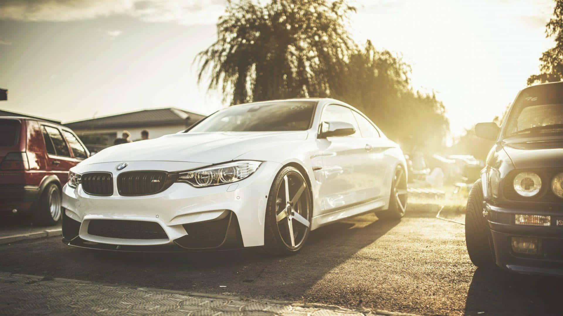 經典 BMW 車款停泊於現代都市 壁紙 — 一輛閃亮的白色BMW M4雙門轎跑車停放在戶外，沐浴在金黃色的日落光線中，附近有樹木和其他汽車。