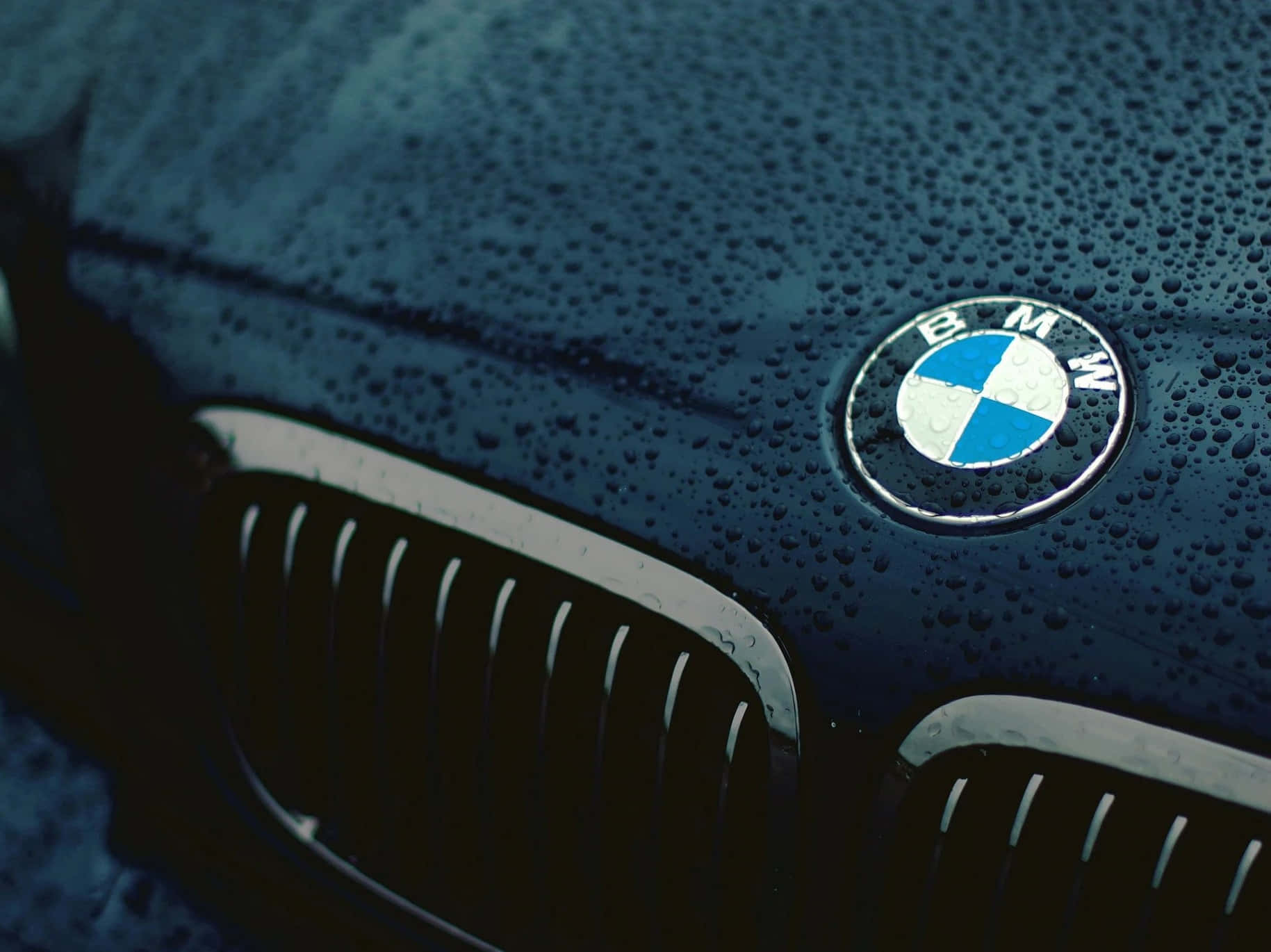 BMW標誌展示三色設計 壁紙 — 深藍色寶馬汽車引擎蓋的特寫，上面佈滿雨滴，焦點在鍍鉻格柵和標誌性標誌上。