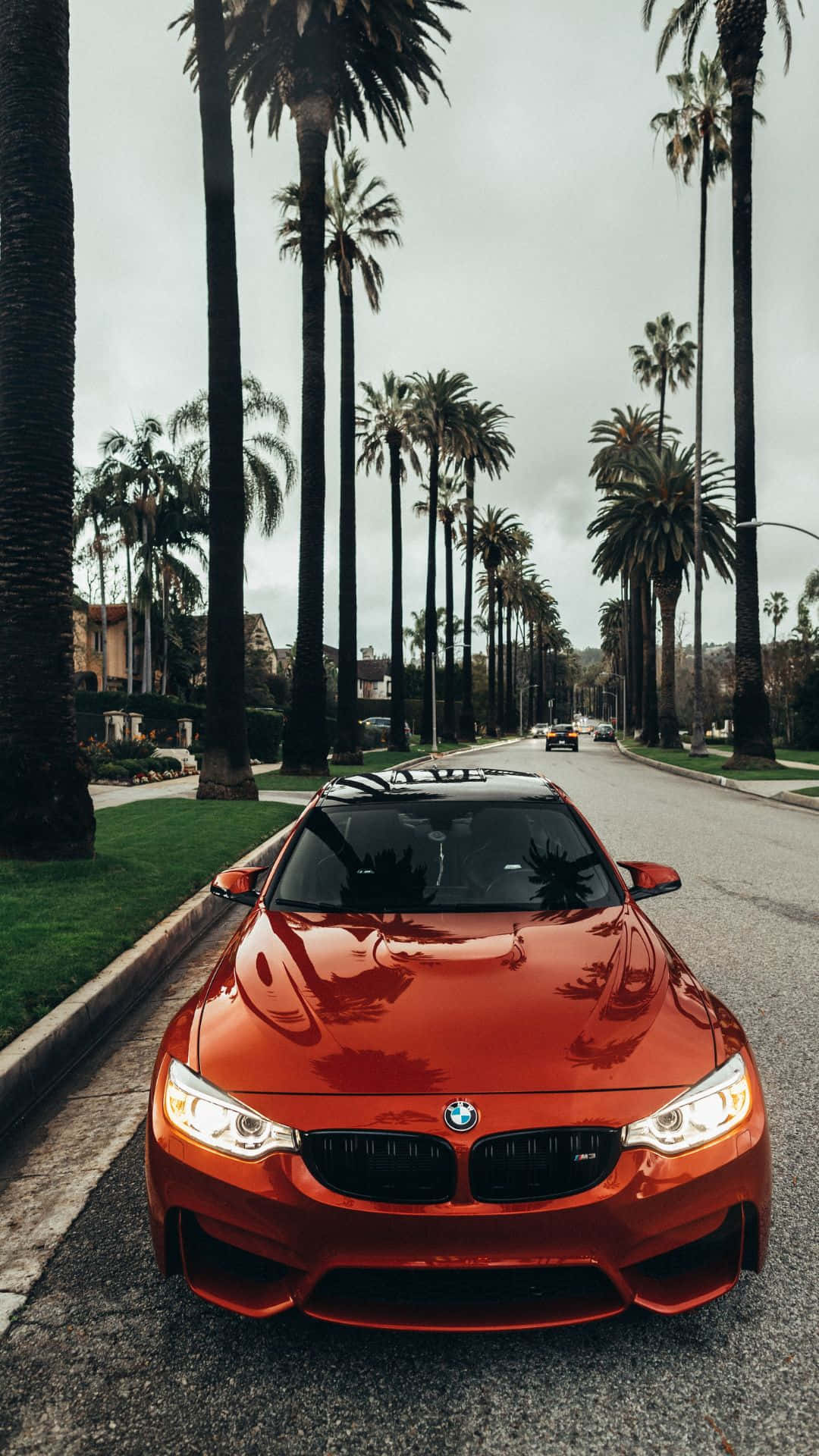 BMW Android 主畫面 — 科技駕駛體驗 壁紙 — 一架亮橙色嘅BMW M4停泊喺棕櫚樹林立嘅街道上，天空多雲。