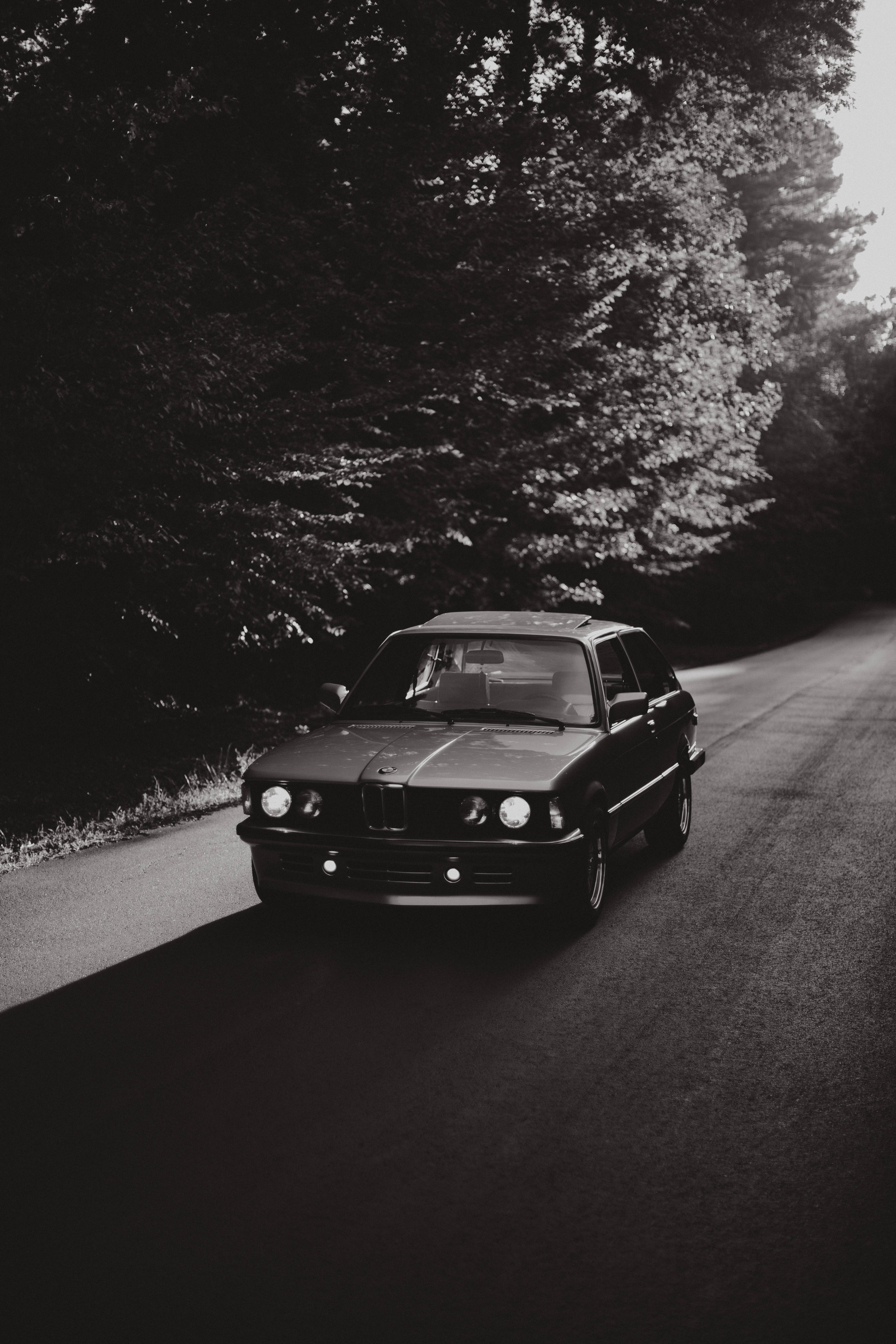 駕馭BMW，感受風的擁抱 壁紙 — 一輛經典BMW E30房車沿著蜿蜒的森林道路行駛，呈現高對比度的黑白效果。