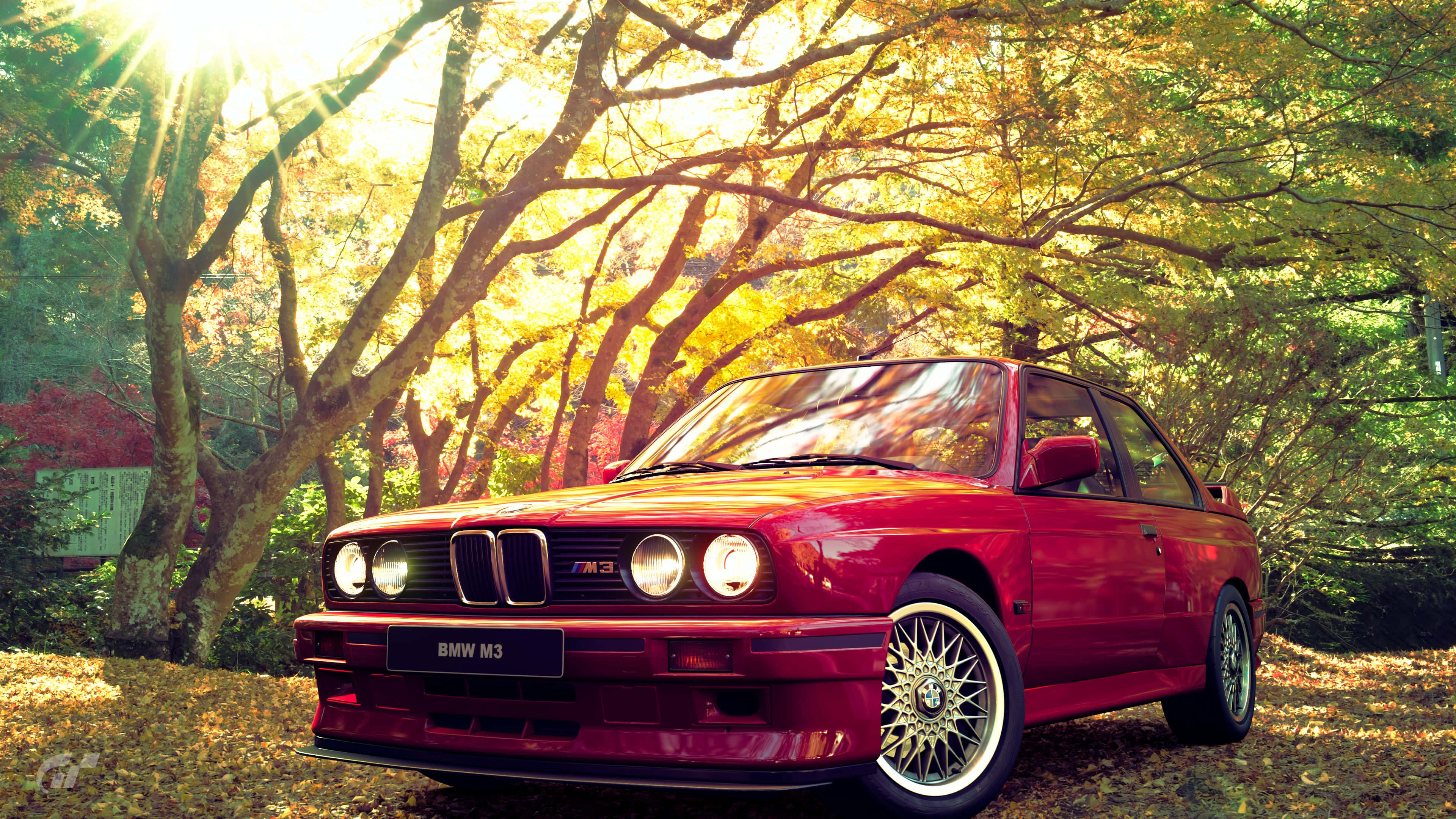 BMW E30 紅色車款金色陽光樹林背景 壁紙 — 一輛鮮紅色的寶馬M3雙門跑車在金色秋日陽光下閃閃發光，陽光穿過茂密的樹木，樹葉飄落。