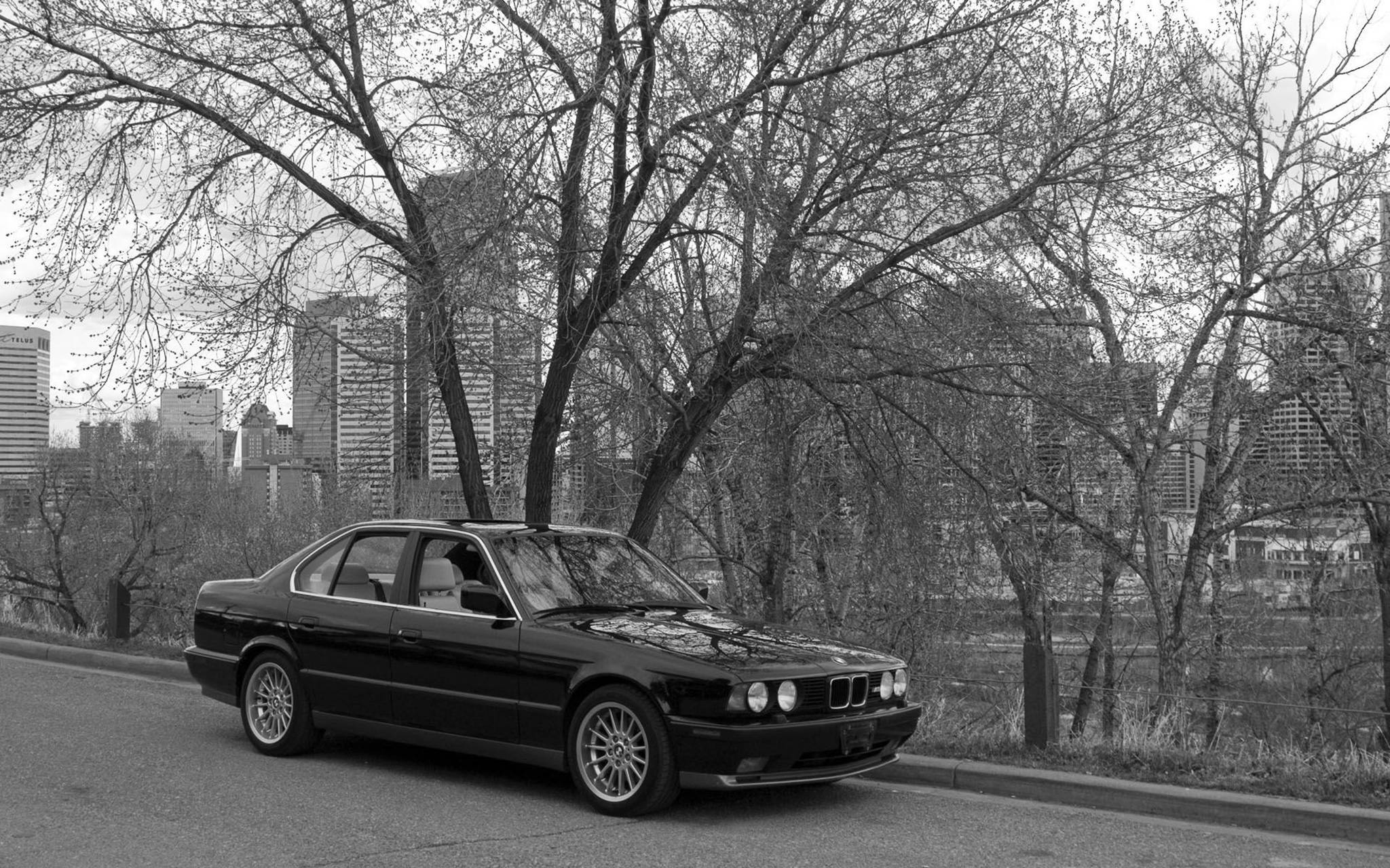 單色經典BMW 壁紙 — 一輛黑色寶馬房車停泊在林蔭大道上，禿枝後方可見城市天際線。