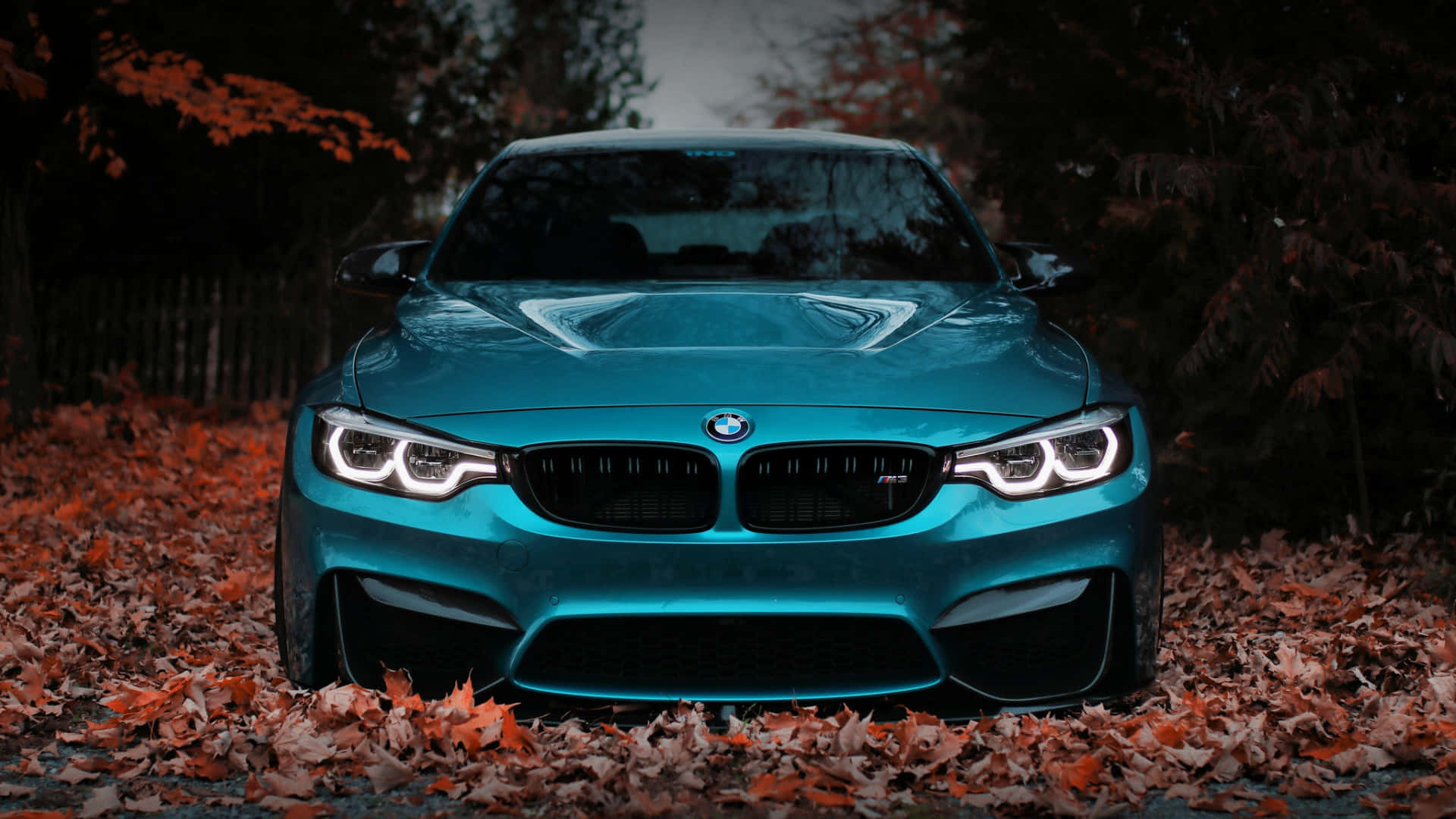 流暢、獨特且時尚的BMW 壁紙 — 一輛青綠色的BMW M4跑車，車頭燈閃爍，停放在昏暗天空下，周圍散落著秋天的落葉。