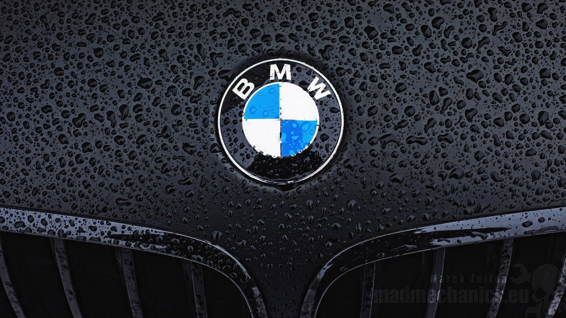 濕潤黑色BMW M引擎蓋標誌 壁紙 — BMW標誌特寫，位於濕透的黑色引擎蓋上，雨滴在柔和光線下閃爍。