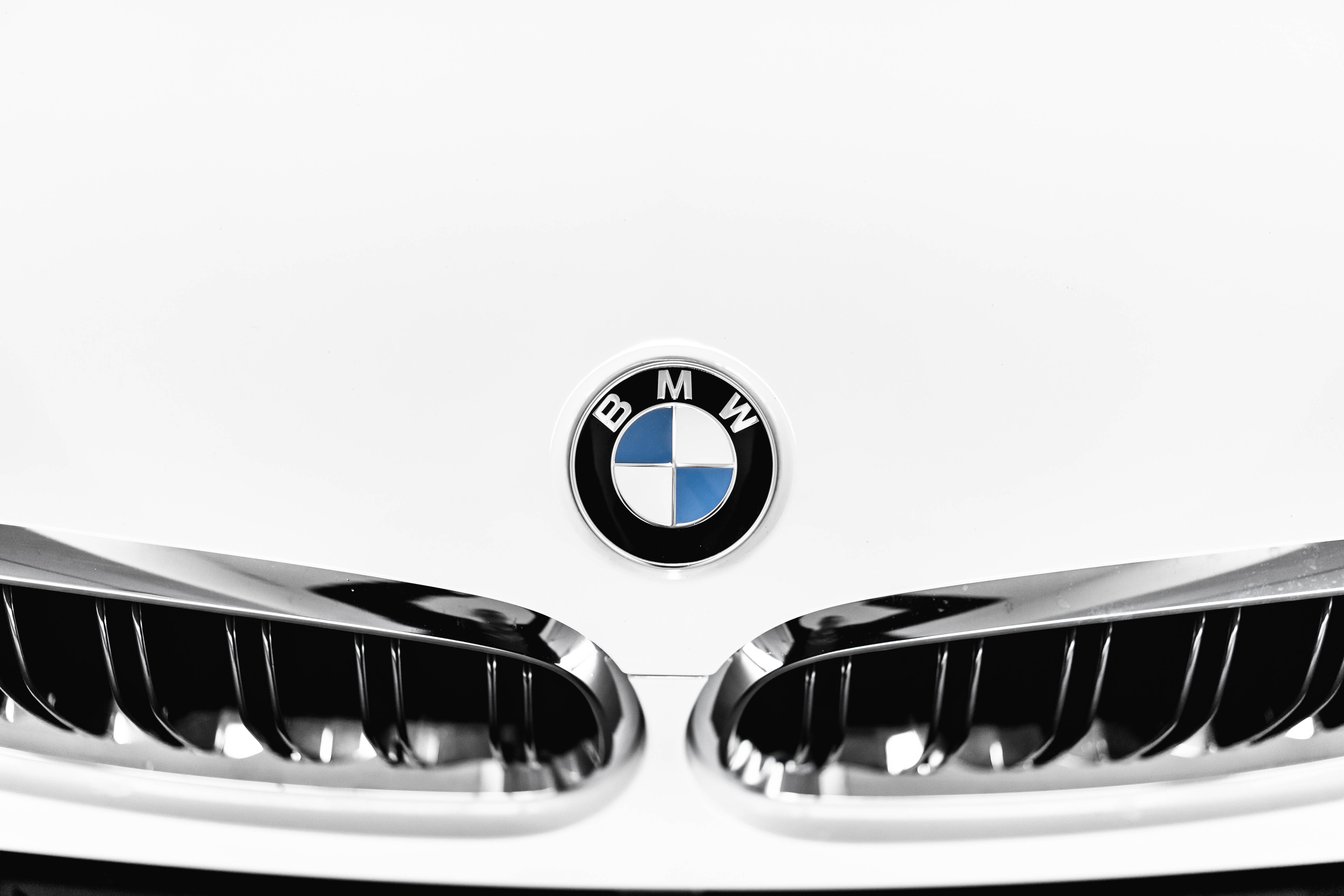 白色BMW M車標特寫 壁紙 — 白色寶馬汽車前格柵和帶有藍白象限的標誌性圓形標誌的特寫。
