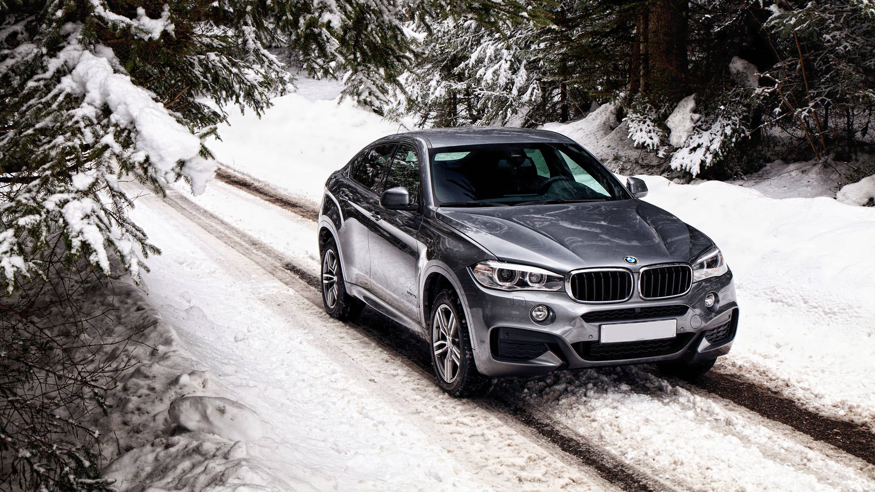 BMW X6 M 車款 壁紙 — 一輛時尚的銀色BMW X6 SUV在白雪覆蓋的森林道路上行駛，兩旁是沾滿雪花的常青樹。