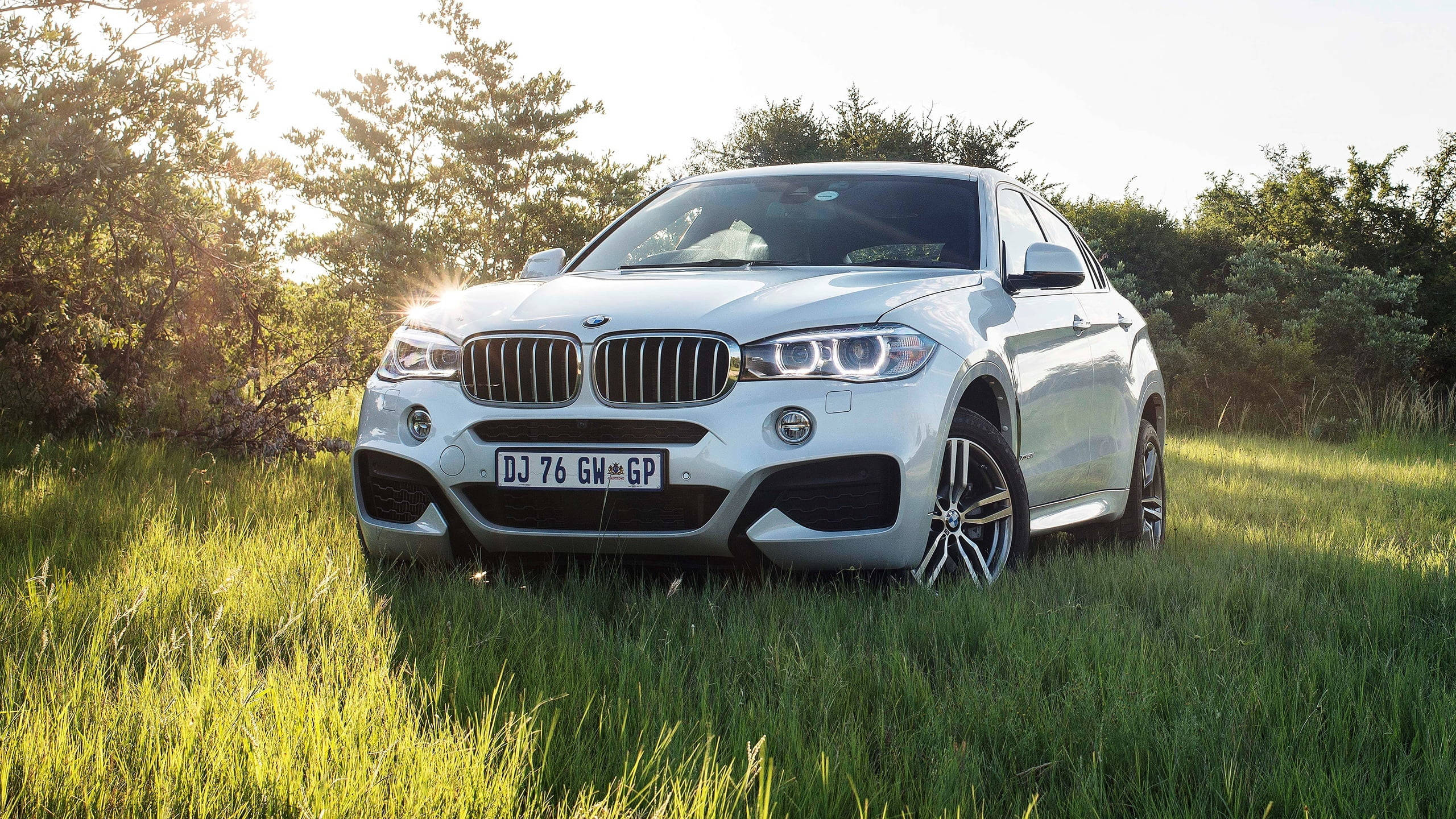 BMW X6 M停於綠野 壁紙 — 一架時尚的白色BMW X6 SUV停在高草叢中，陽光穿過後面的樹木灑落下來。