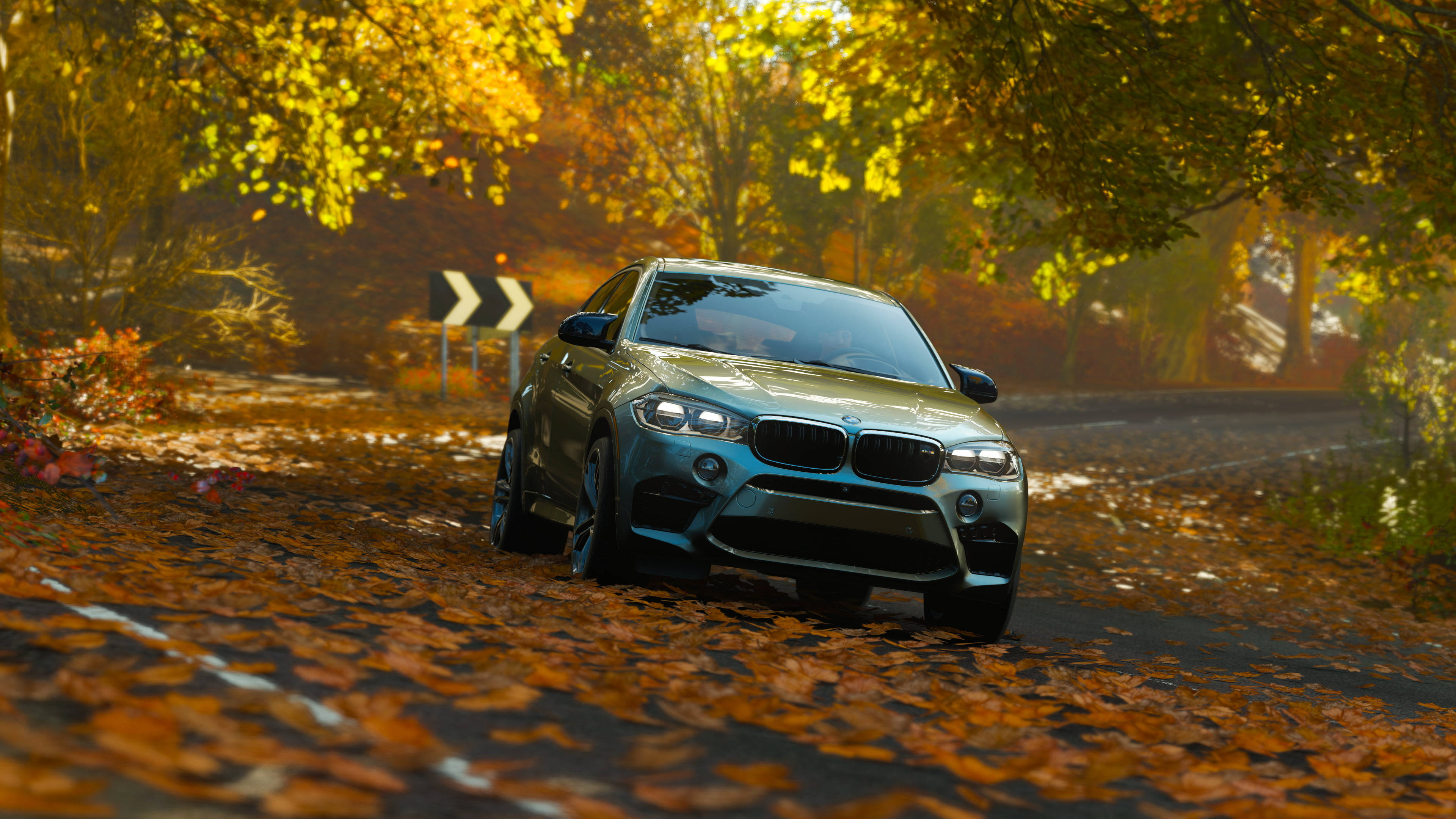 BMW X6 M秋日疾馳 壁紙 — 一輛時尚的銀色BMW X6在溫暖陽光下行駛在鋪滿金色秋葉的森林道路上。