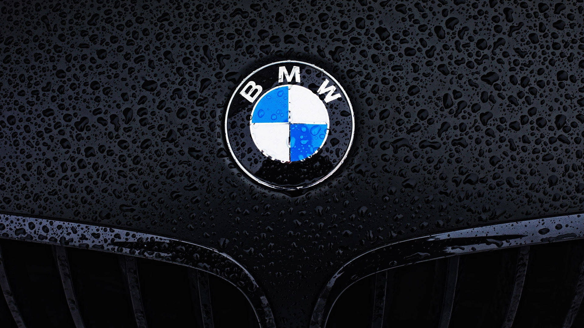 雨濕的黑色引擎蓋上帶有水珠的BMW標誌。