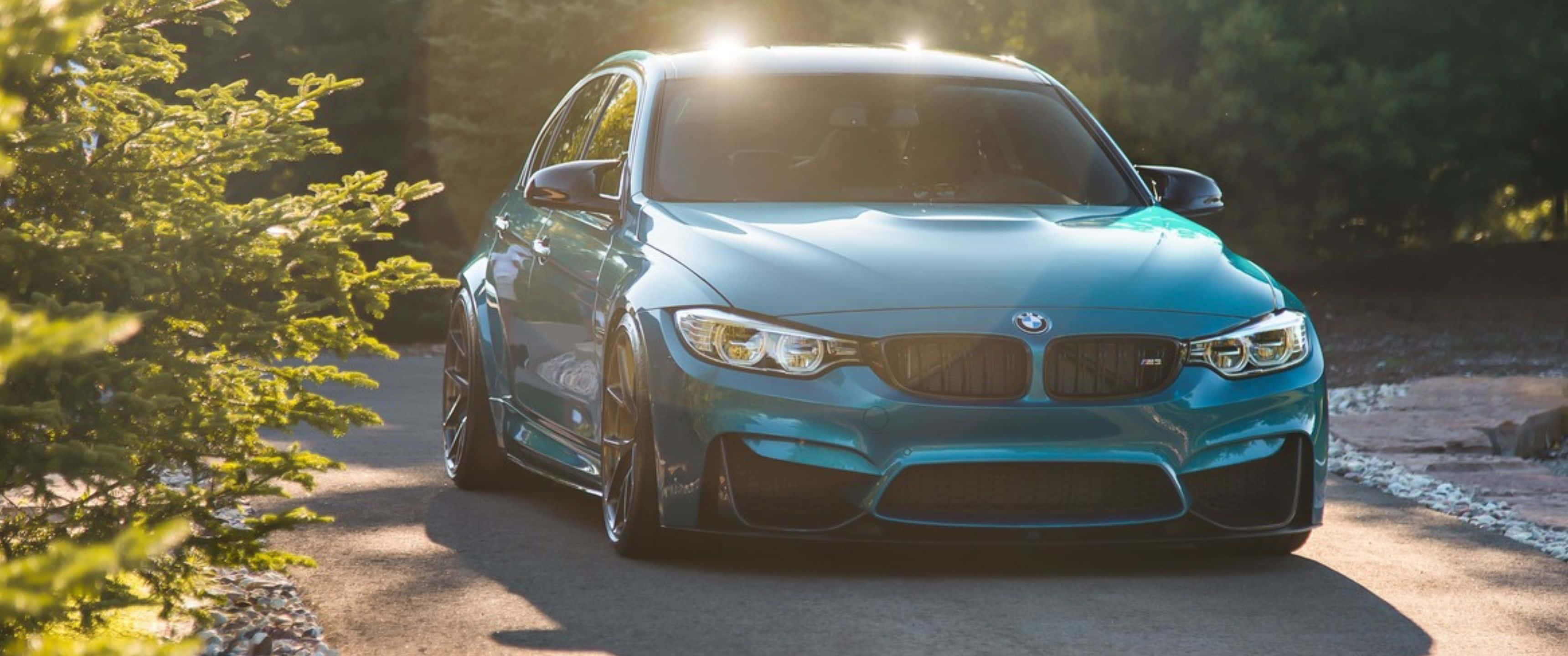 BMW 豪華至極 壁紙 — 一輛時尚的綠松石色BMW M3跑車在金色陽光下閃閃發光，行駛在森林環繞的道路上。