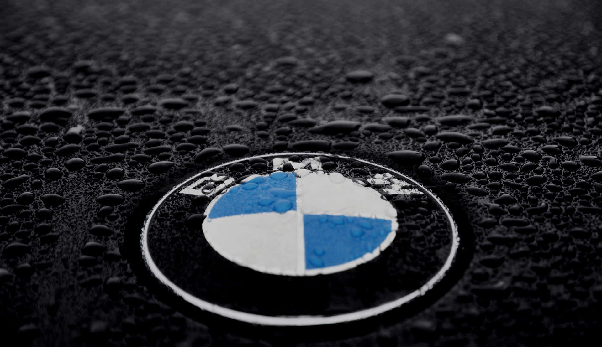 BMW標誌 壁紙 — BMW標誌在濕潤的引擎蓋上特寫，雨滴在柔和光線下閃爍。