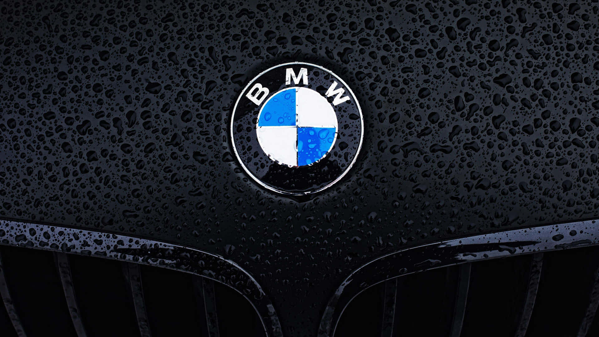 BMW 標誌在濕透的黑色引擎蓋上，帶有雨滴
