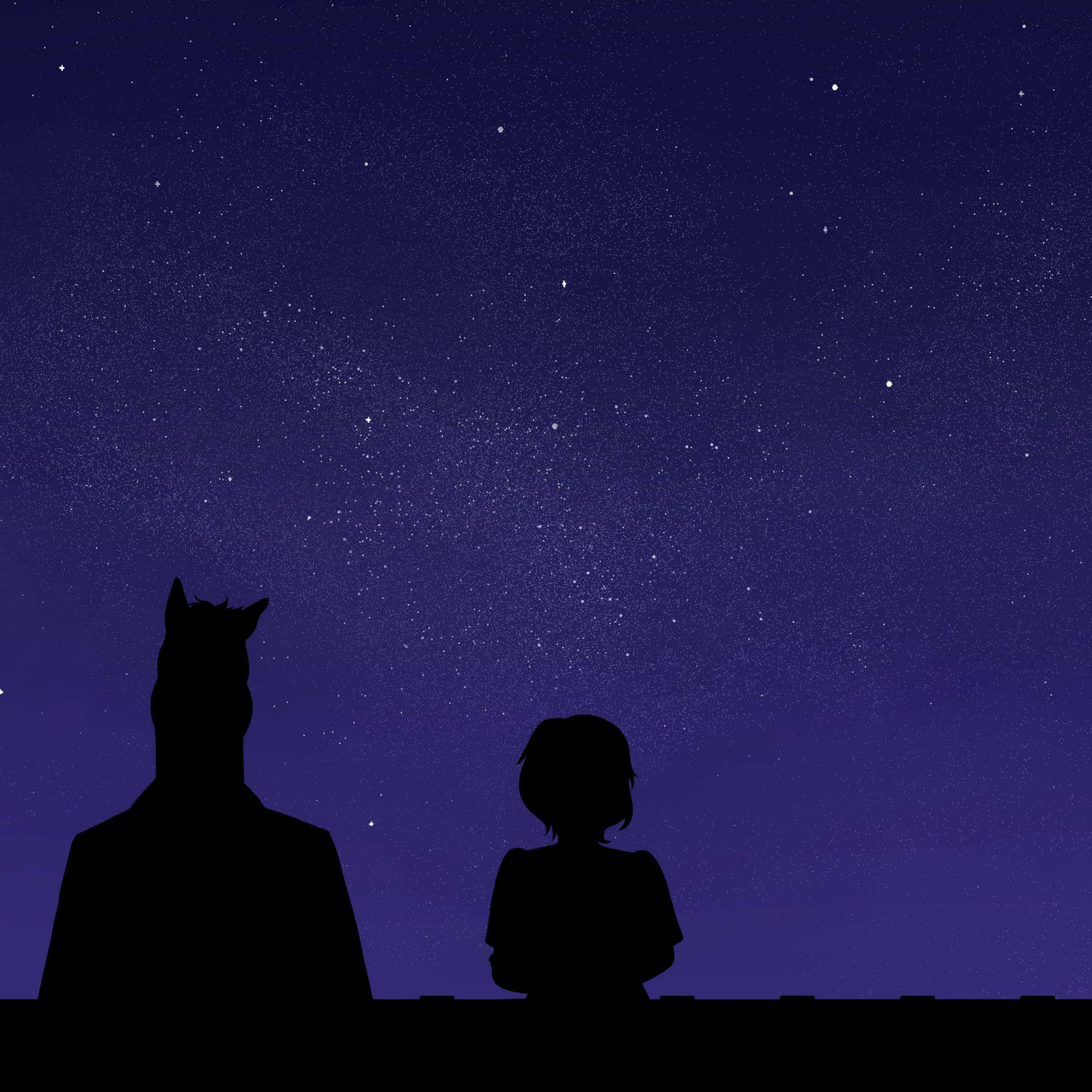 BoJack Horseman — 自我反思 壁紙 — 兩個帶有動物耳朵的剪影人物仰望廣闊的星空，滿天繁星閃爍。