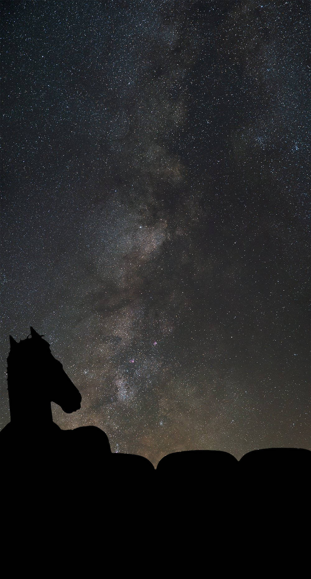 在繁星夜空下馬的剪影，銀河系清晰可見。