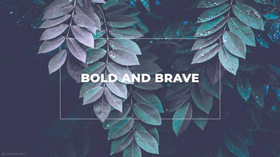 Bold And Brave Facebook 封面 壁紙 — 深藍綠色葉片帶有水珠，框住粗體白色文字，寫著「bold and brave」，背景為憂鬱的藍色。