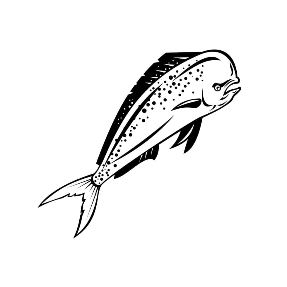 一條躍起的鬼頭刀魚的風格化黑白線條畫。 — 邁阿密海豚 GIF 壁紙