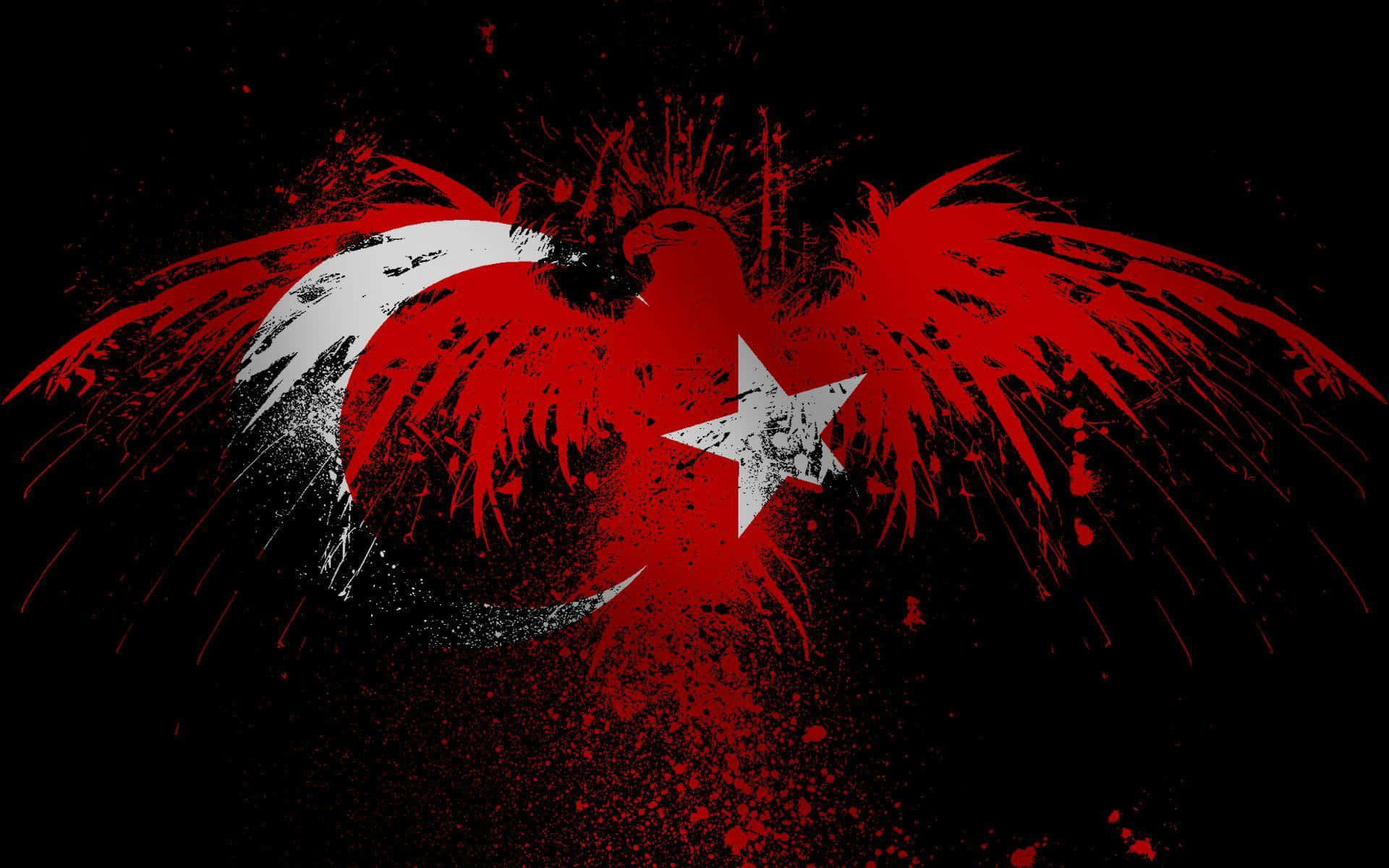 Turkish 桌布 壁紙 — 一個大膽的土耳其國旗設計，紅色和白色的新月和星星濺在黑色背景上。
