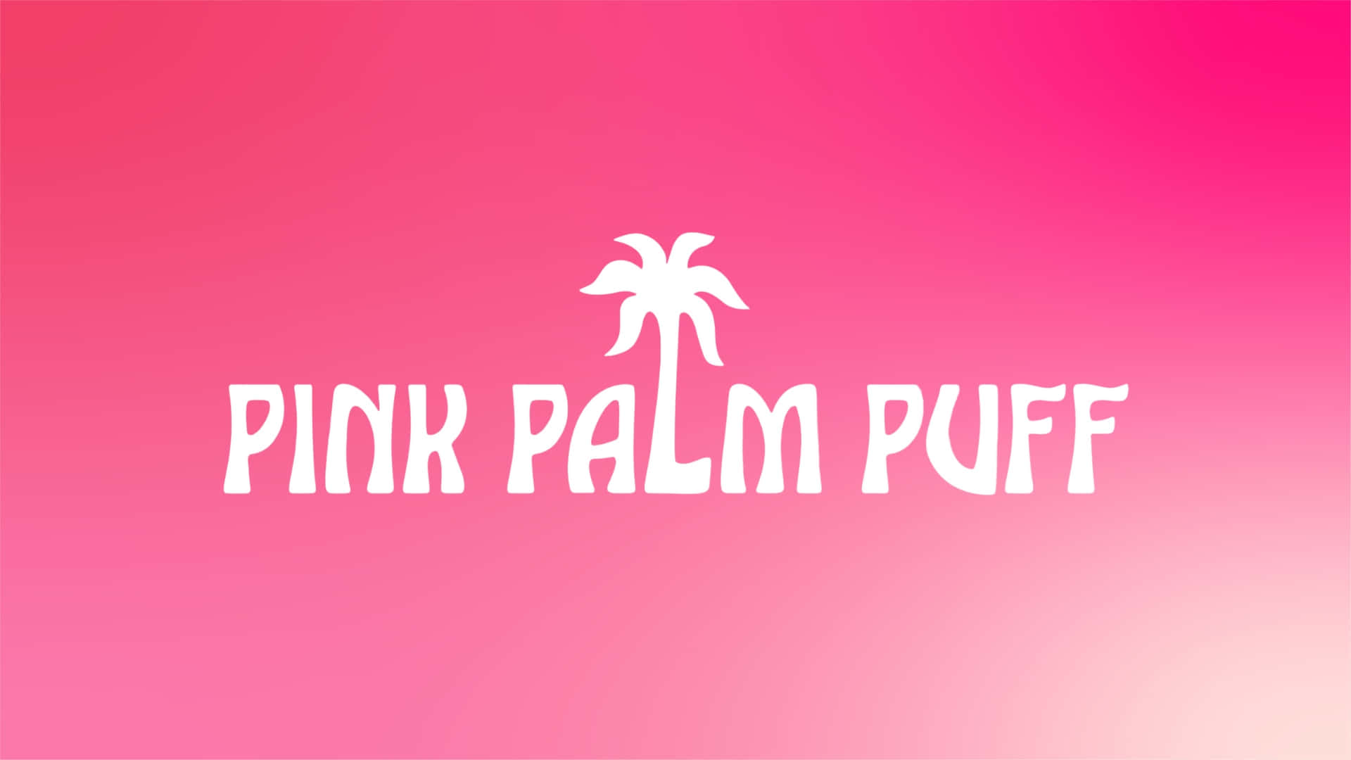  壁紙 — 鮮豔粉紅色漸變背景中央，有白色粗體文字「PINK PALM PUFF」及棕櫚樹圖示。