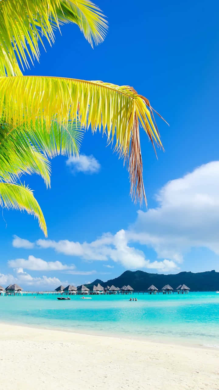 熱帶海灘，有棕櫚葉、藍綠色海水和藍天下的水上平房。