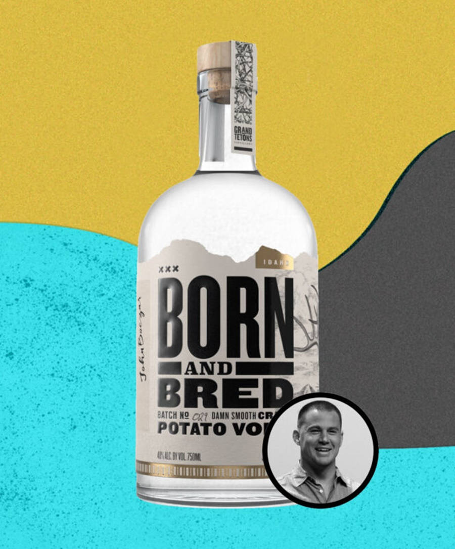 Born And Bred伏特加海報 壁紙 — 一瓶透明的 Born and Bred 馬鈴薯伏特加酒，矗立在鮮黃色、藍綠色和灰色的抽象背景前，背景上有一個微笑男子的圓形黑白肖像。