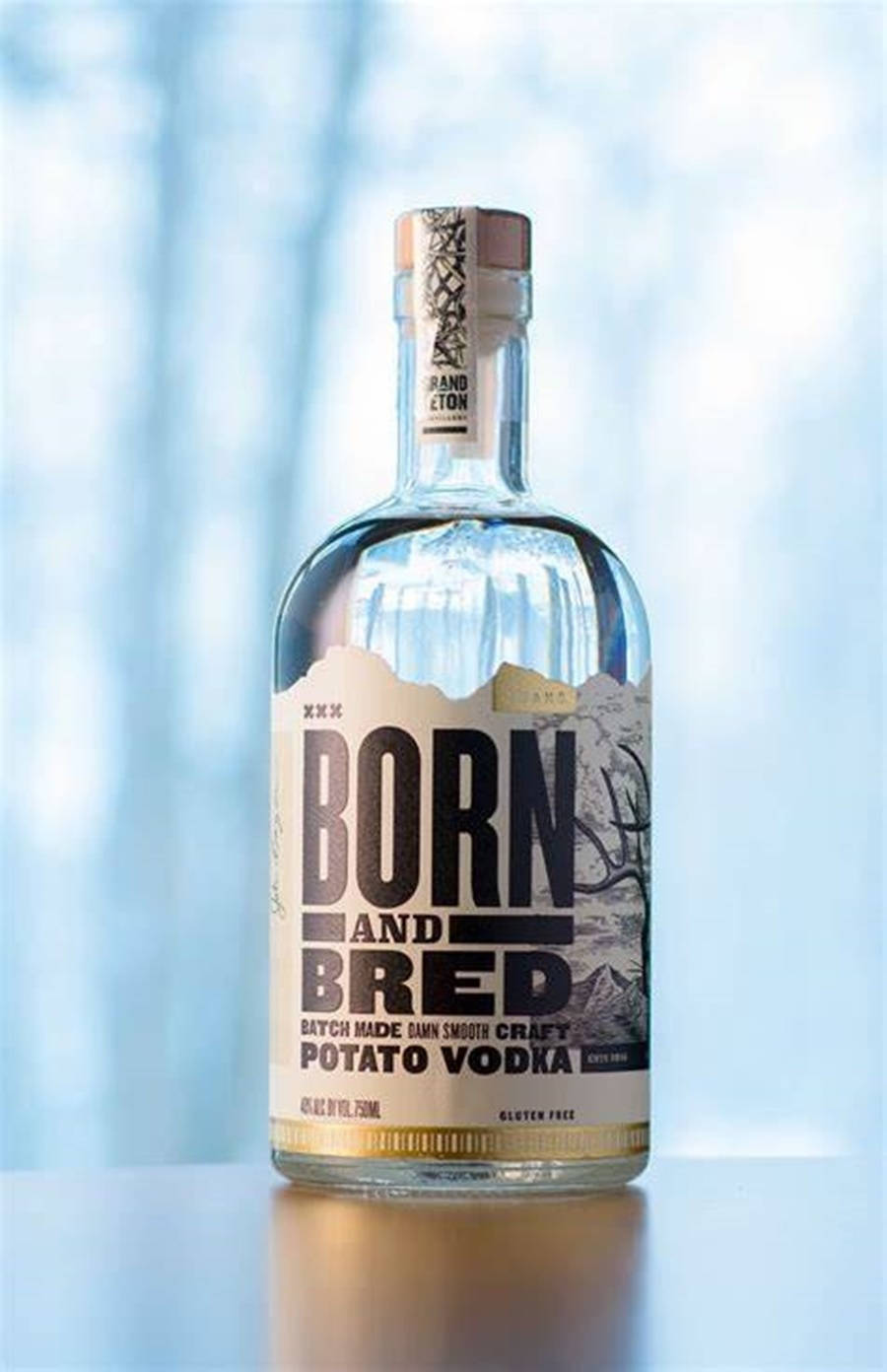 Born And Bred伏特加森林背景 壁紙 — 一瓶透明的Born and Bred馬鈴薯伏特加玻璃瓶放置在反光表面上，背景是柔和的藍色模糊效果。