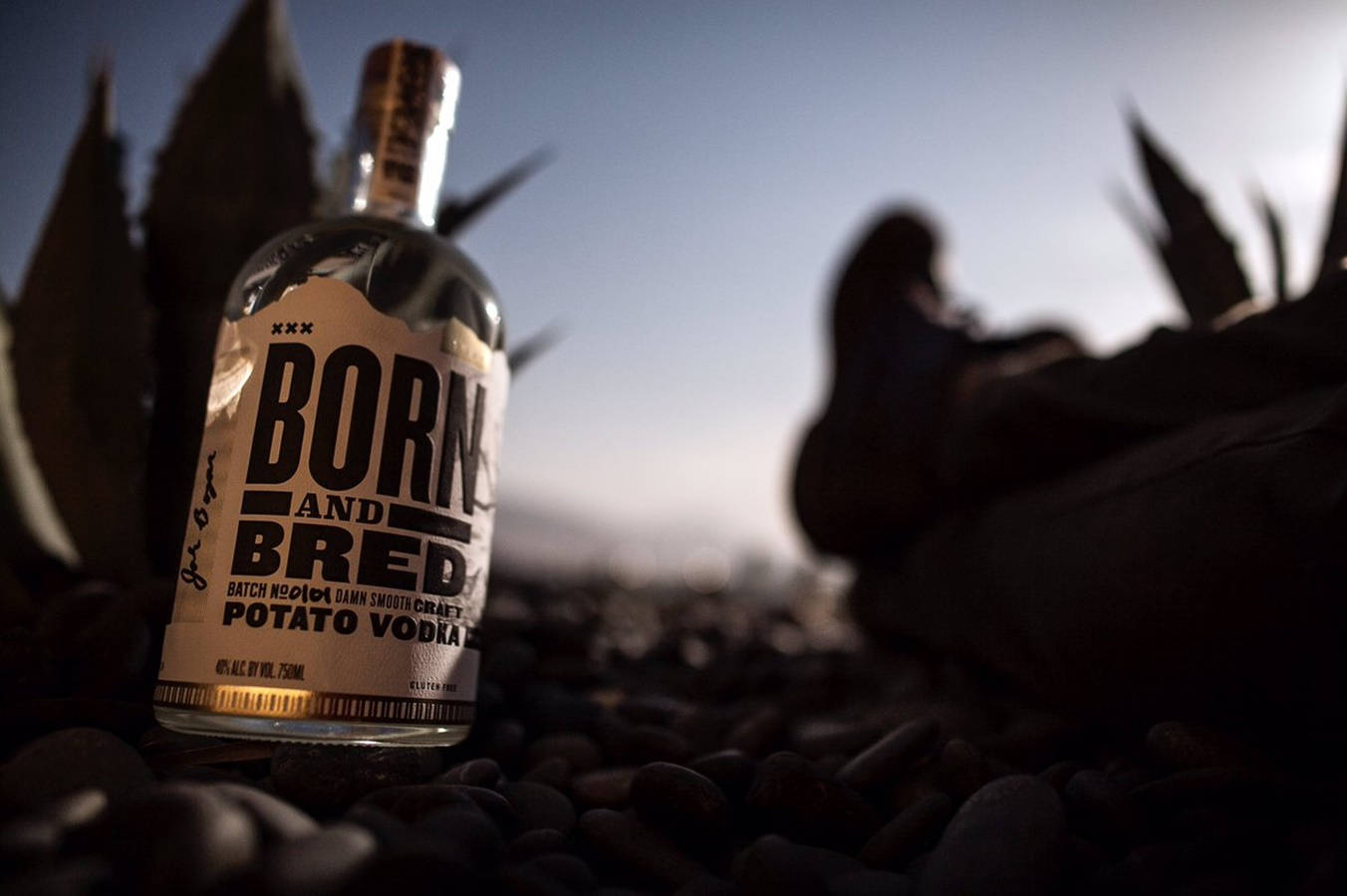 Born And Bred伏特加置於岩石地面 壁紙 — 一瓶透明的 Born and Bred 馬鈴薯伏特加酒放在深色鵝卵石上，旁邊是龍舌蘭植物，背景是柔和的黃昏天空。