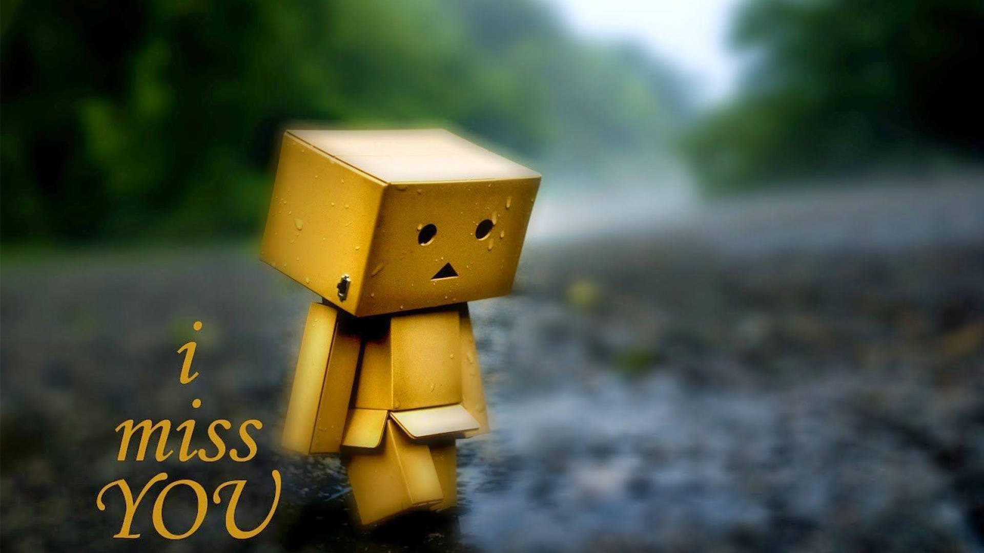 Boxman 我好想你 壁紙 — 一個細小的黃色紙板Danbo角色獨自站在雨中濕漉漉的小徑上，背景是模糊的綠色森林。