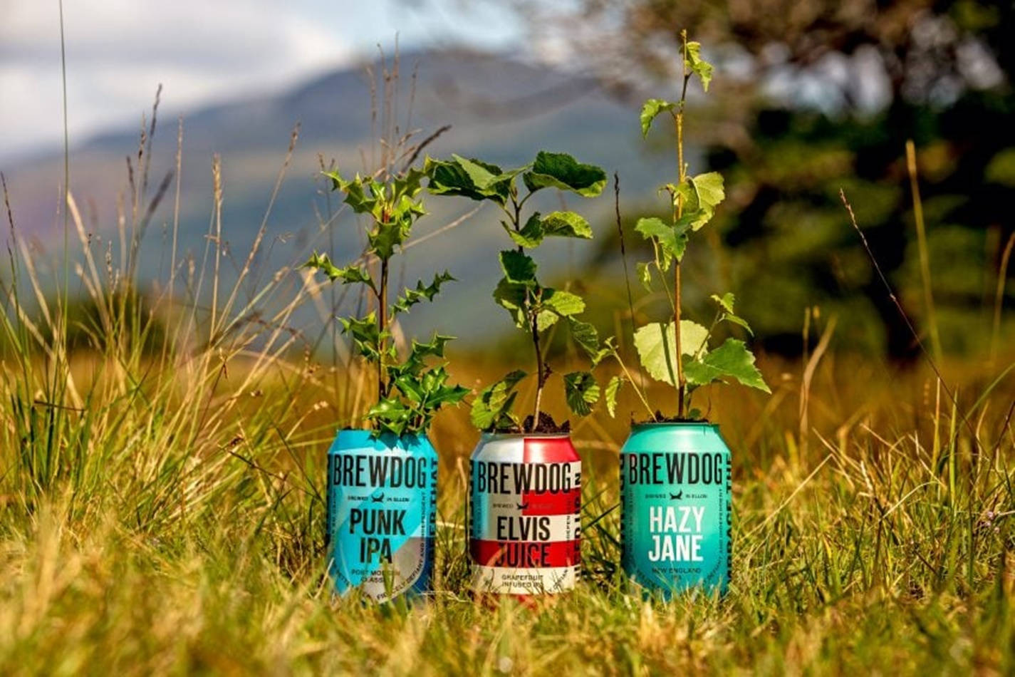 BrewDog 可回收罐與生長植物 壁紙 — 三罐啤酒在陽光明媚的草地上長出綠色幼苗，背景有山脈。