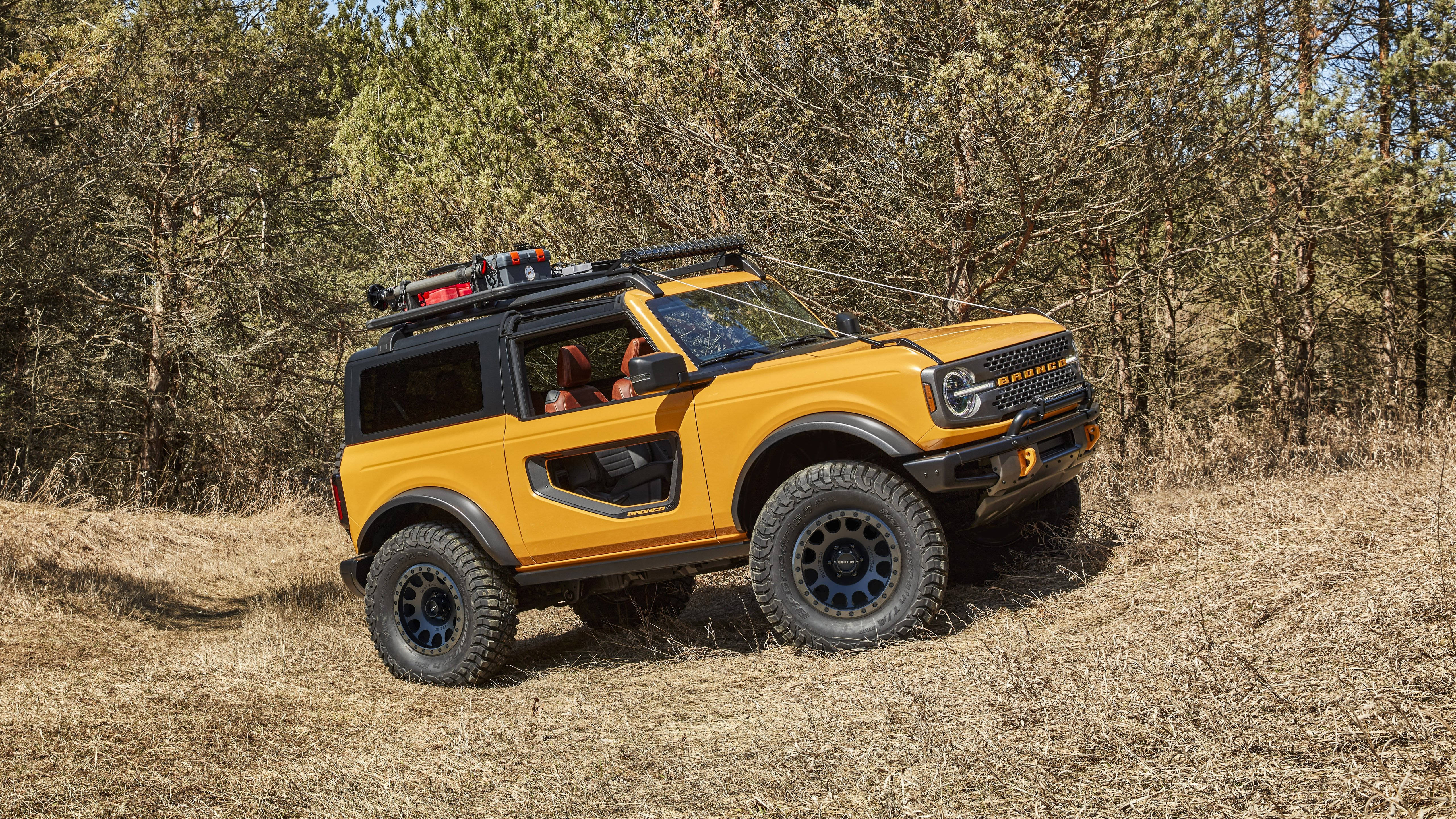 福特 Bronco 停在乾草地上 壁紙 — 一輛亮黃色的福特Bronco，帶有黑色飾邊和車頂行李架，停放在陽光明媚的松樹林中的乾草地上。