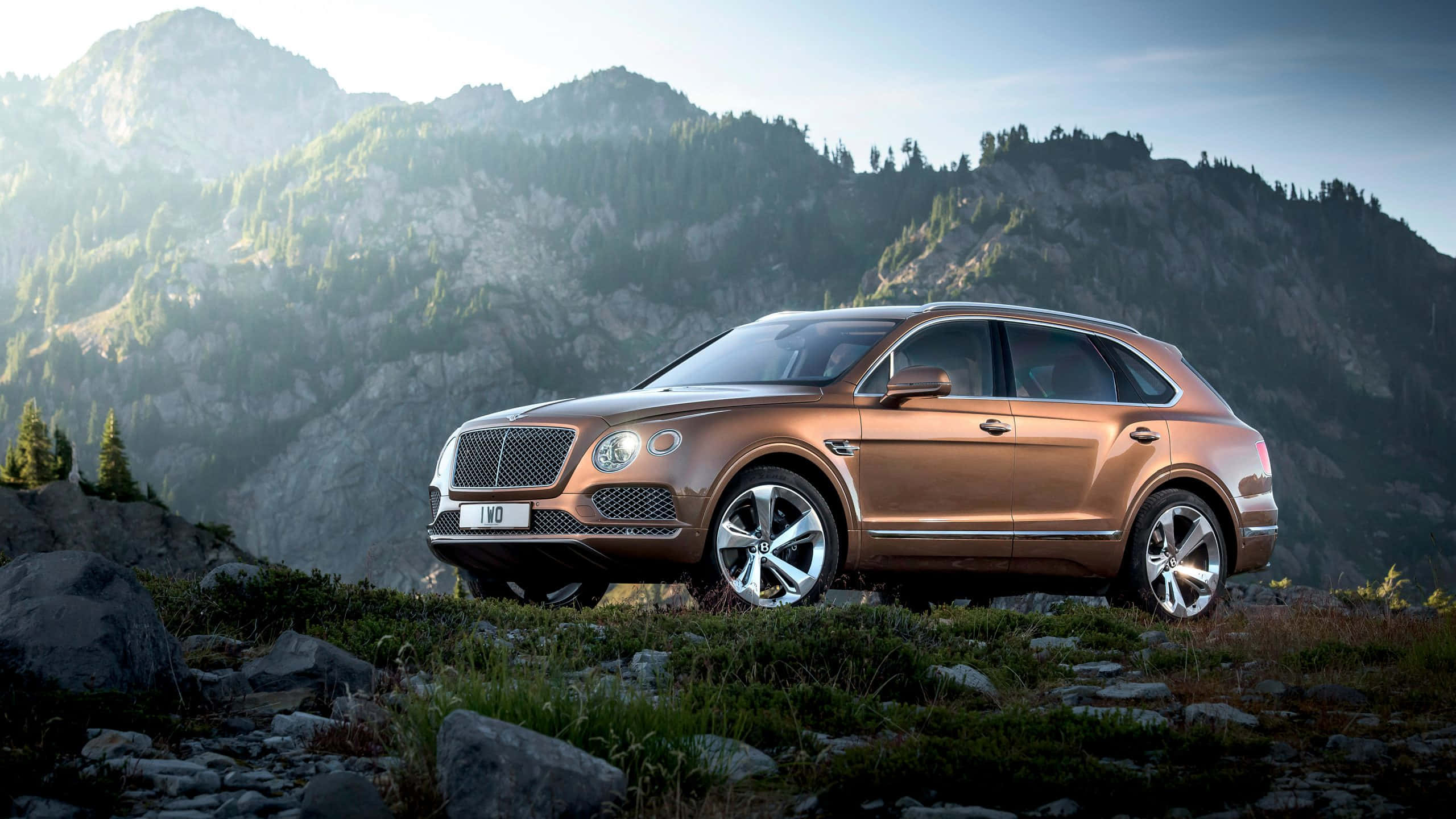 Bentley Bentayga 桌布 壁紙 — 一輛青銅色賓利Bentayga SUV停泊在岩石山脊上，周圍是森林覆蓋的山峰和柔和晨光。