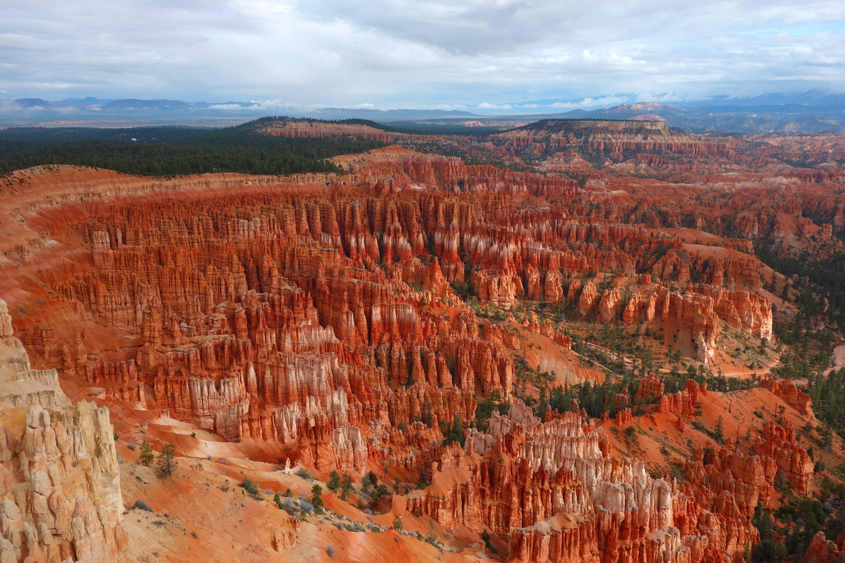 Bryce Canyon國家公園樹帶景觀 壁紙 — 廣闊的峽谷中，高聳的橙色岩柱在陰天和遠處的森林山丘下延伸。