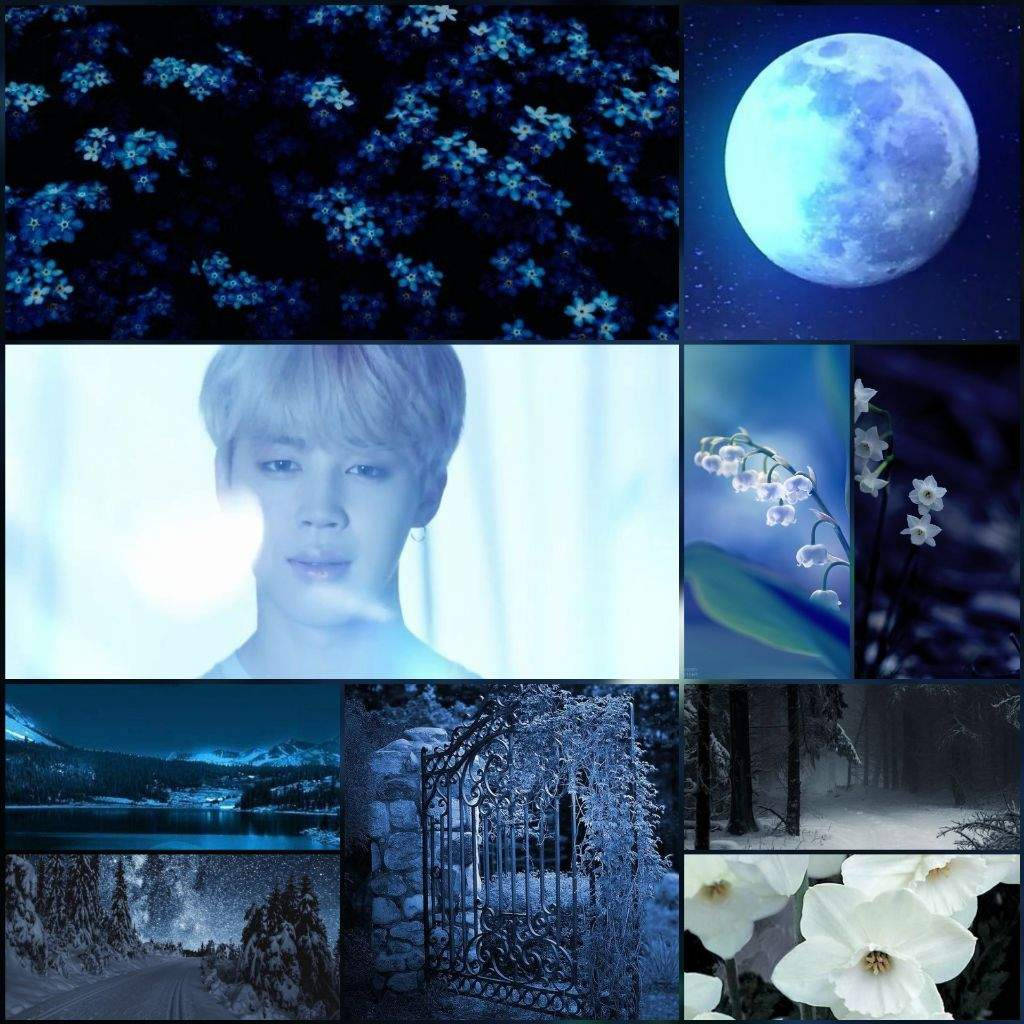 朴智旻BTS美學月光壁紙 壁紙 — 一個夢幻的藍調拼貼畫， featuring 月光花、雪花、一個人、雪景和閃爍的月亮，襯托著星空夜空。