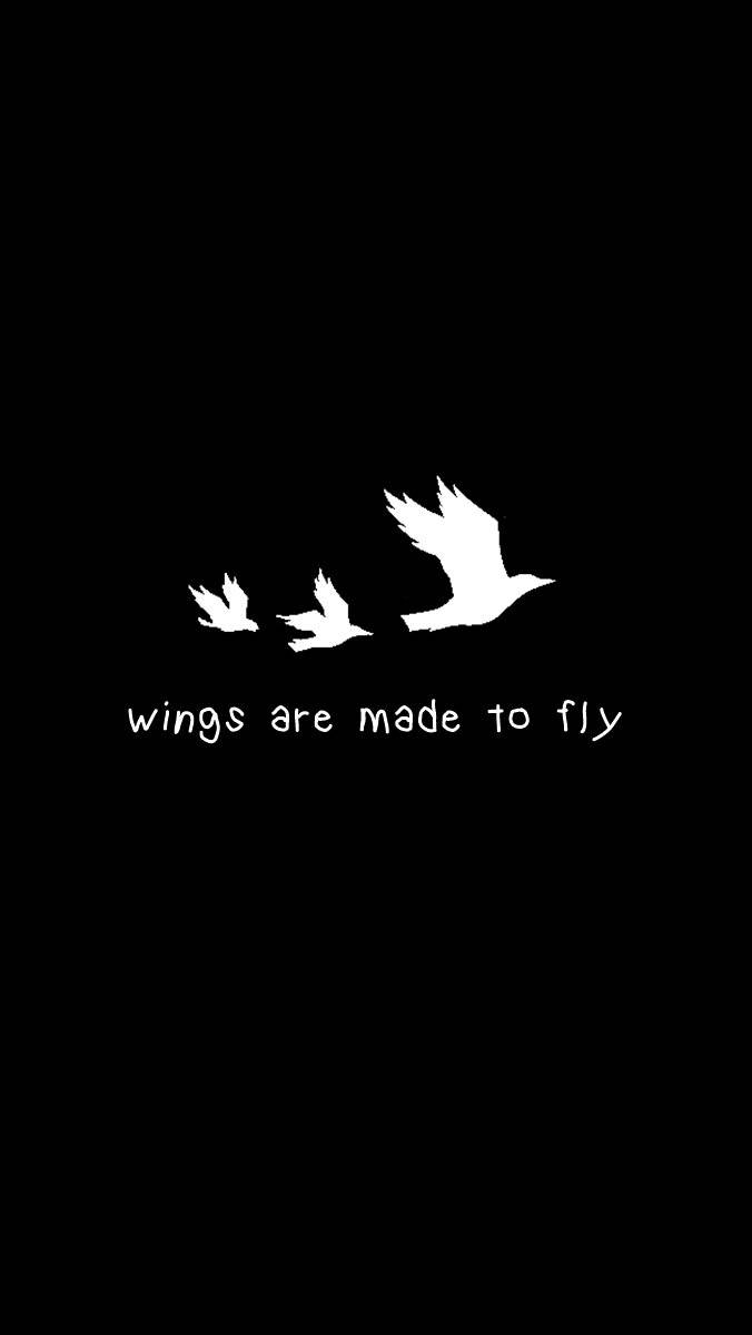 三隻白色鳥類剪影在黑色背景上飛翔，帶有文字 wings are made to fly