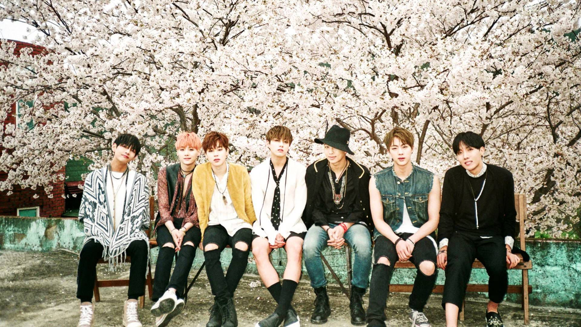 BTS賞櫻之美 壁紙 — 七位時尚年輕男士坐在長椅上，上方是春天盛開的白櫻花樹冠。