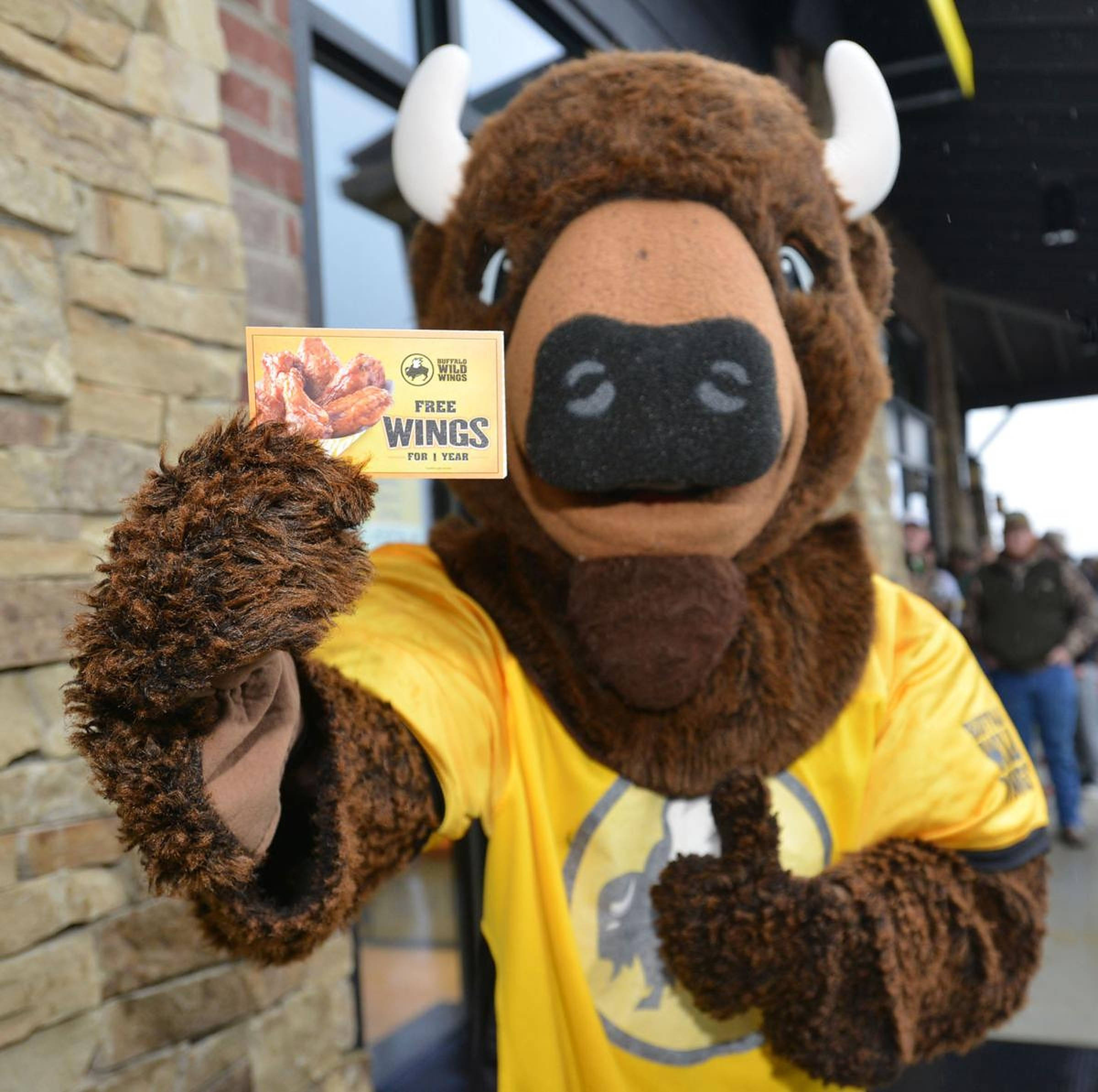 Buffalo Wild Wings 快樂吉祥物 壁紙 — 一隻穿著黃色襯衫的棕色水牛吉祥物舉著「Free Wings for 1 Year」的牌子，並豎起大拇指。