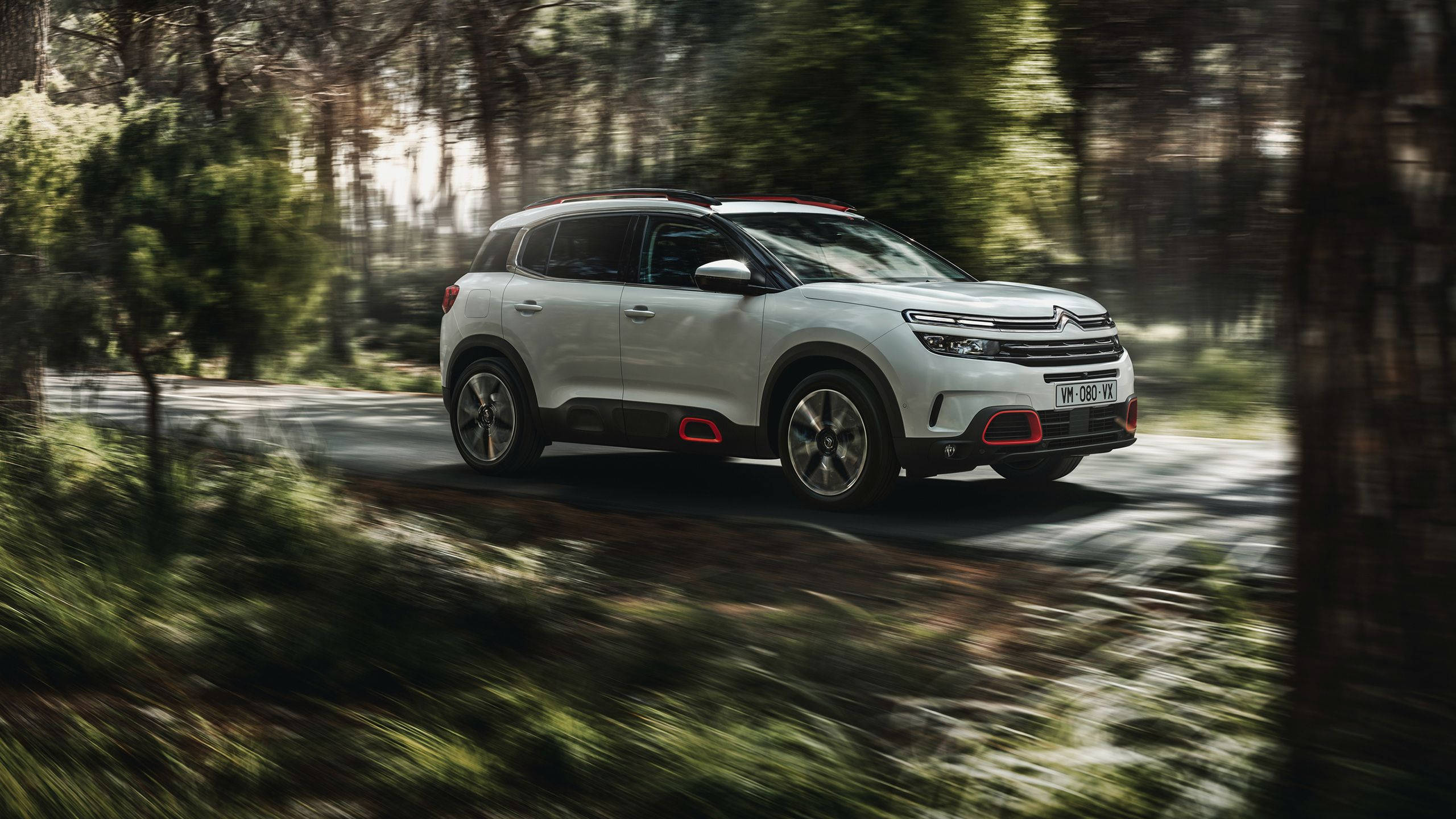 雪鐵龍C5 Aircross 壁紙 — 一輛時尚的白色SUV在森林道路上疾馳，周圍的樹木和綠植呈現動態模糊效果。