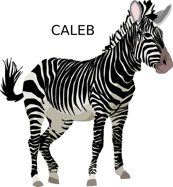 個人化斑馬插畫「CALEB」 壁紙 — 一隻名叫Caleb的卡通斑馬側身站立，帶有醒目的黑白條紋，背景為純白色。